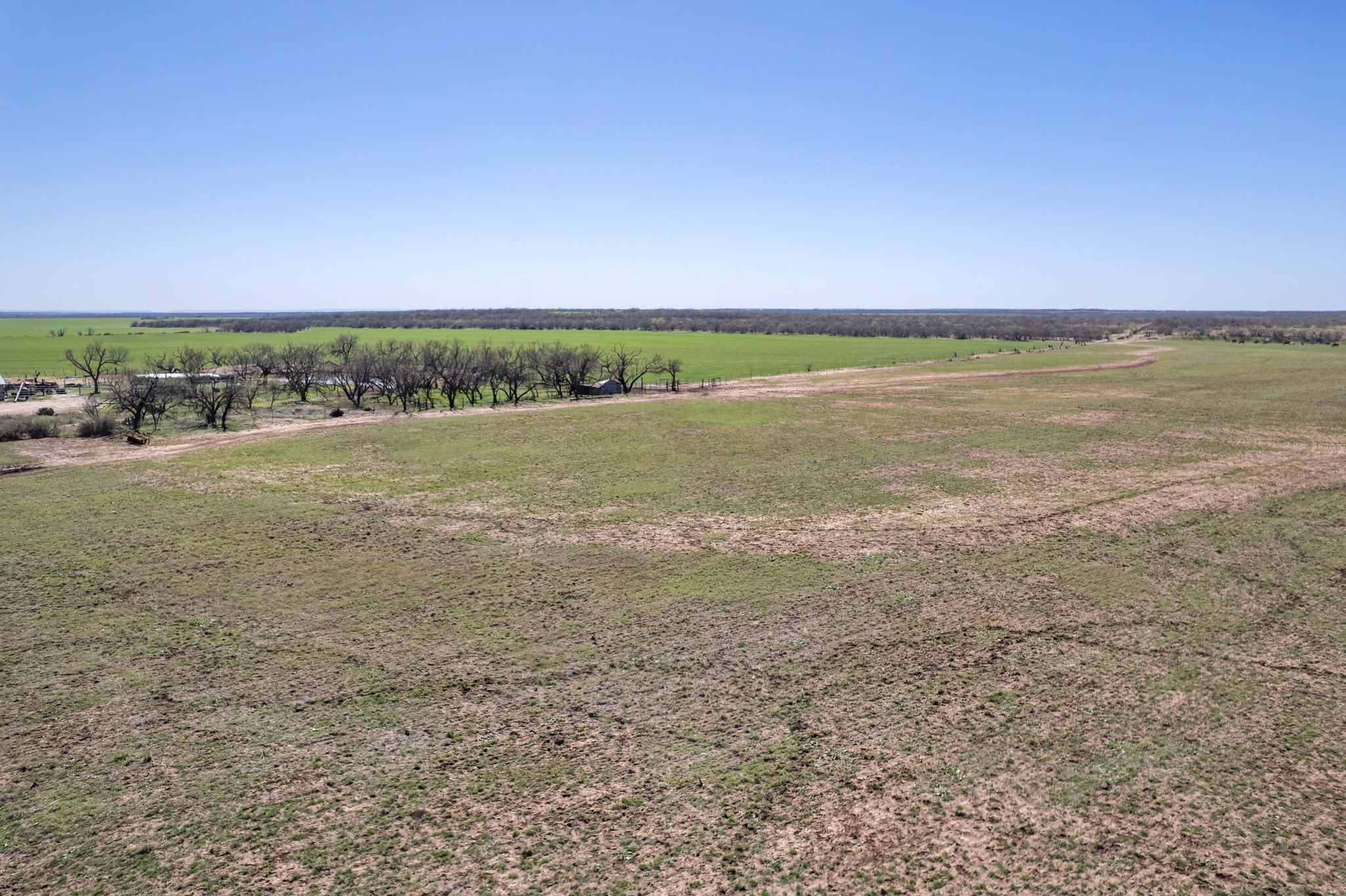 Tbd Cr 300 Coleman TX 76834