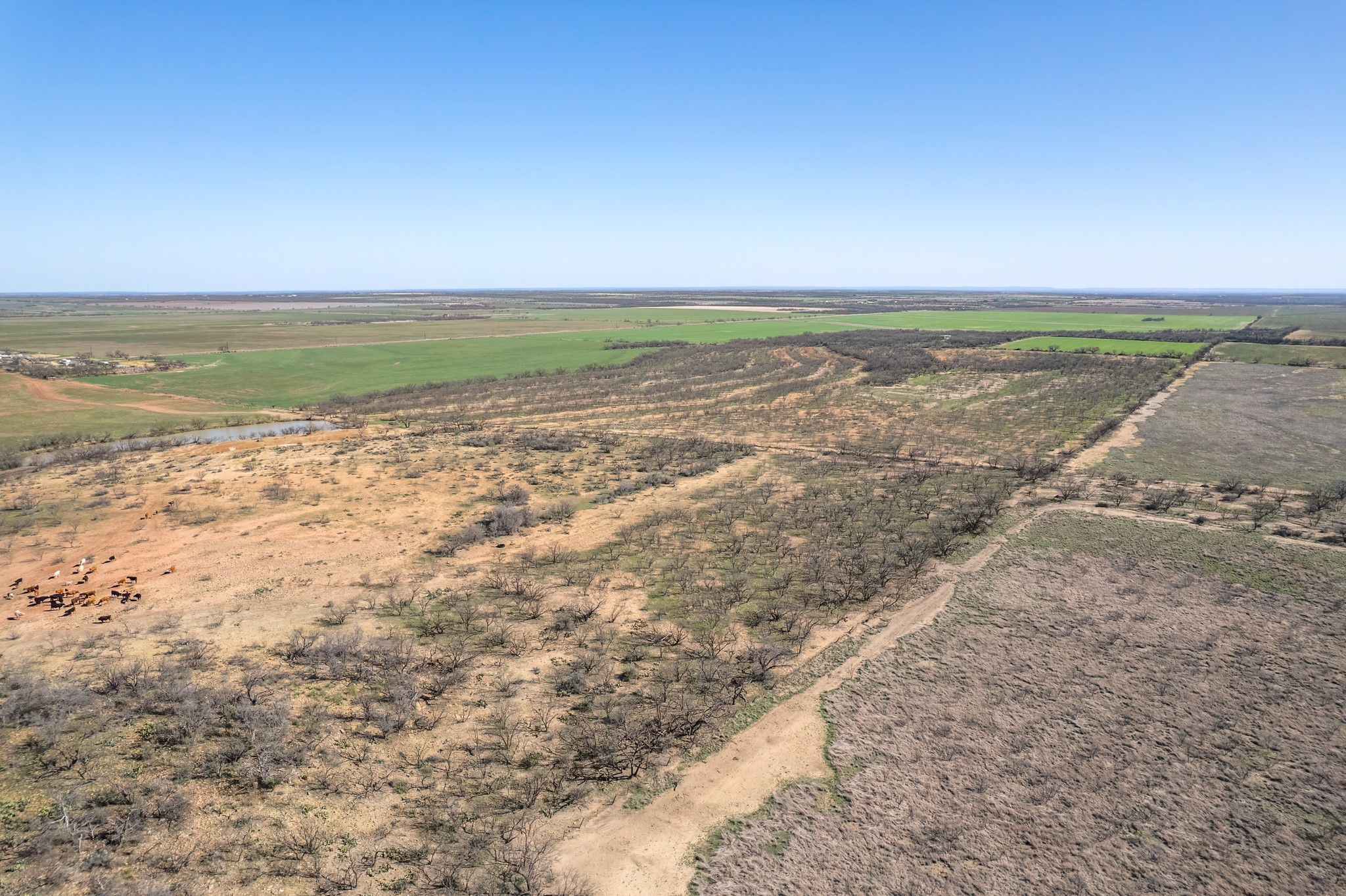 Tbd Cr 300 Coleman TX 76834