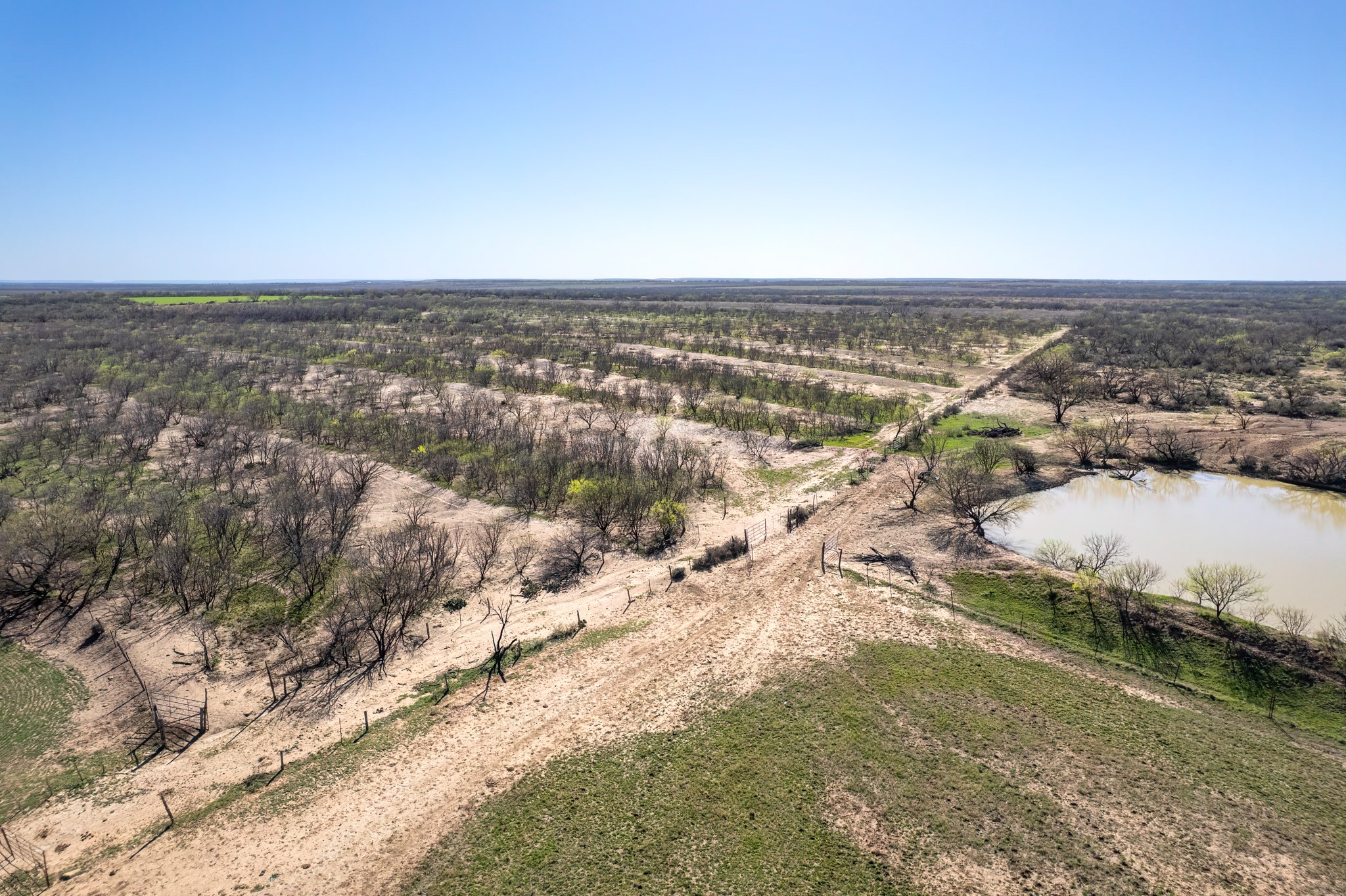Tbd Cr 300 Coleman TX 76834