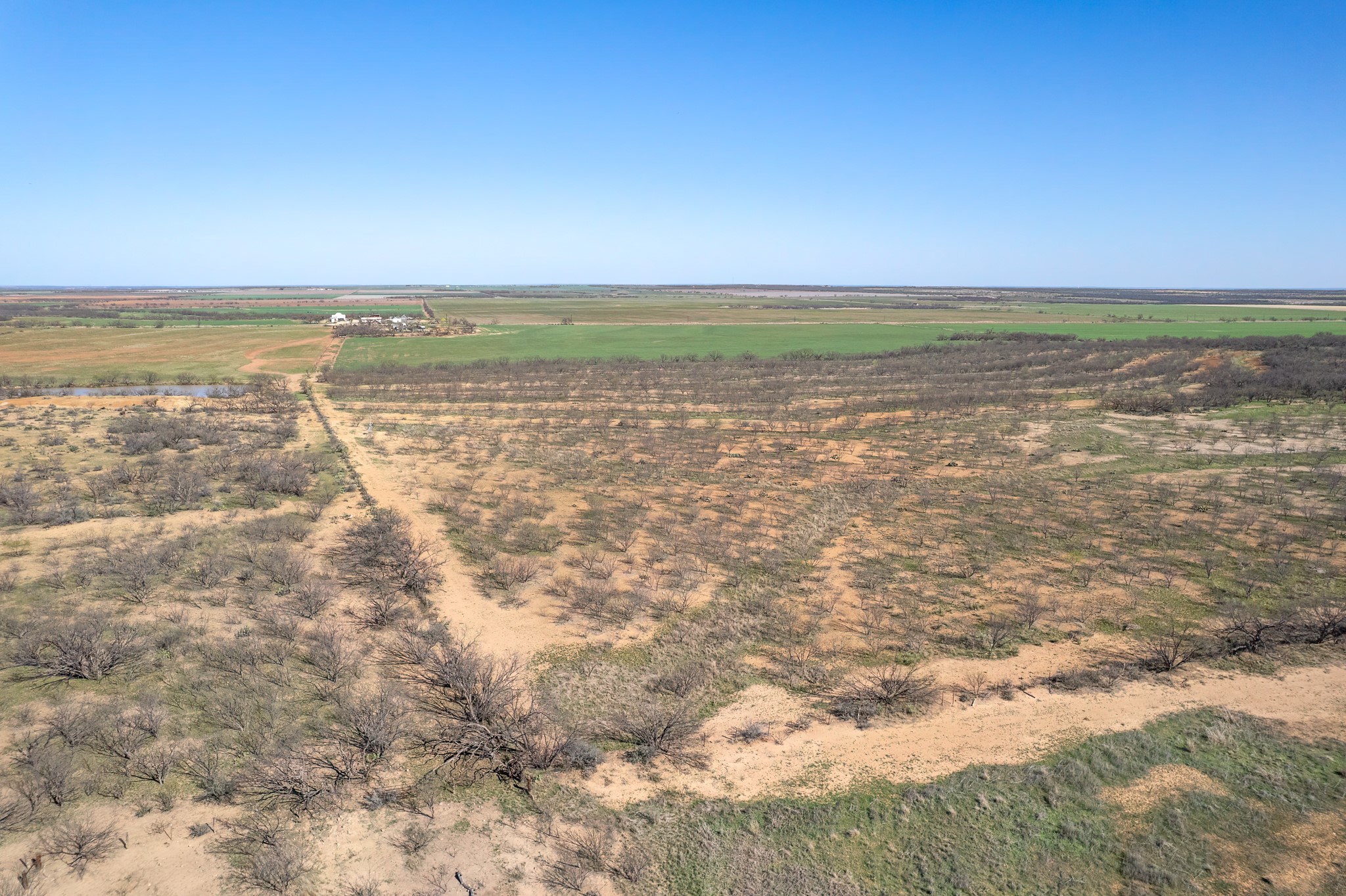 Tbd Cr 300 Coleman TX 76834