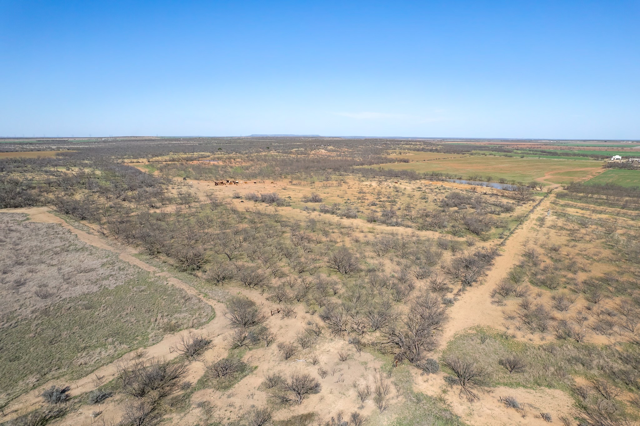 Tbd Cr 300 Coleman TX 76834