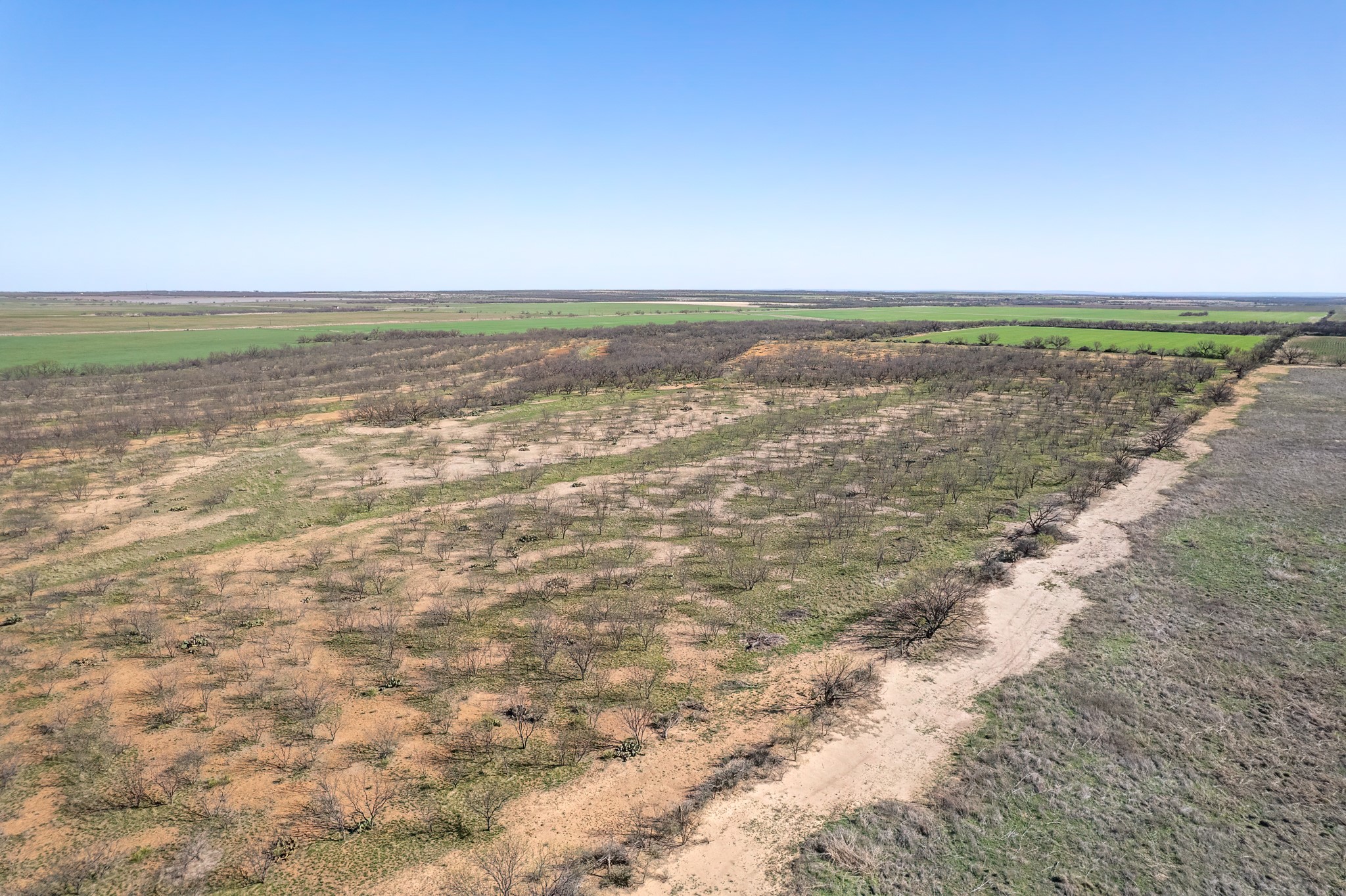 Tbd Cr 300 Coleman TX 76834