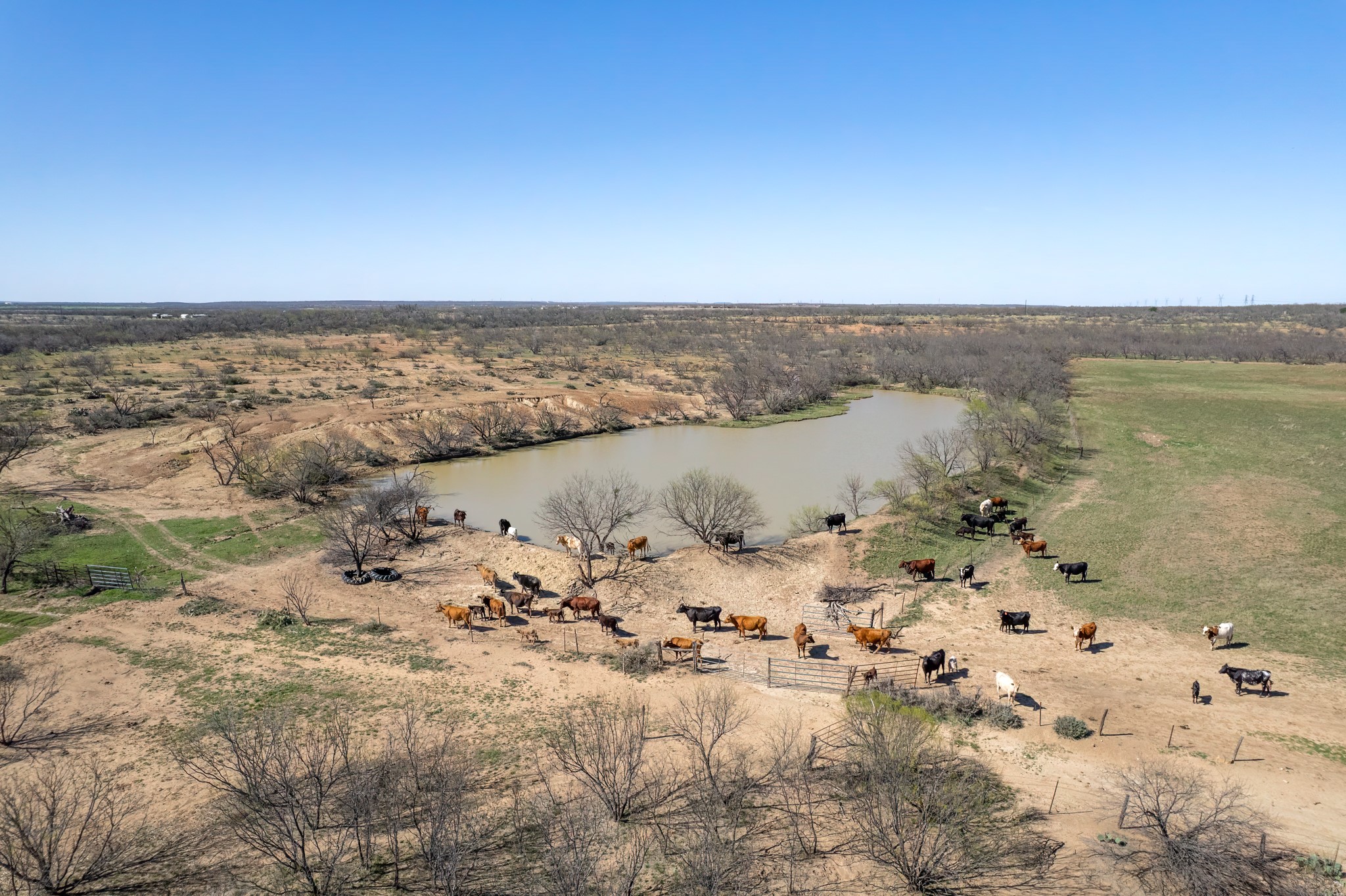 Tbd Cr 300 Coleman TX 76834