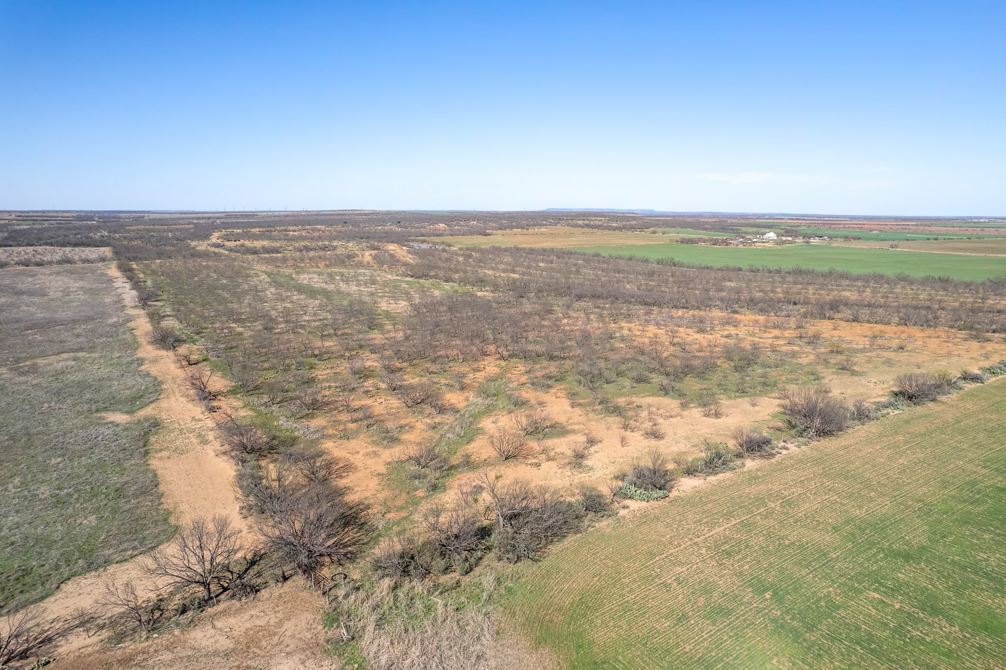 Tbd Cr 300 Coleman TX 76834