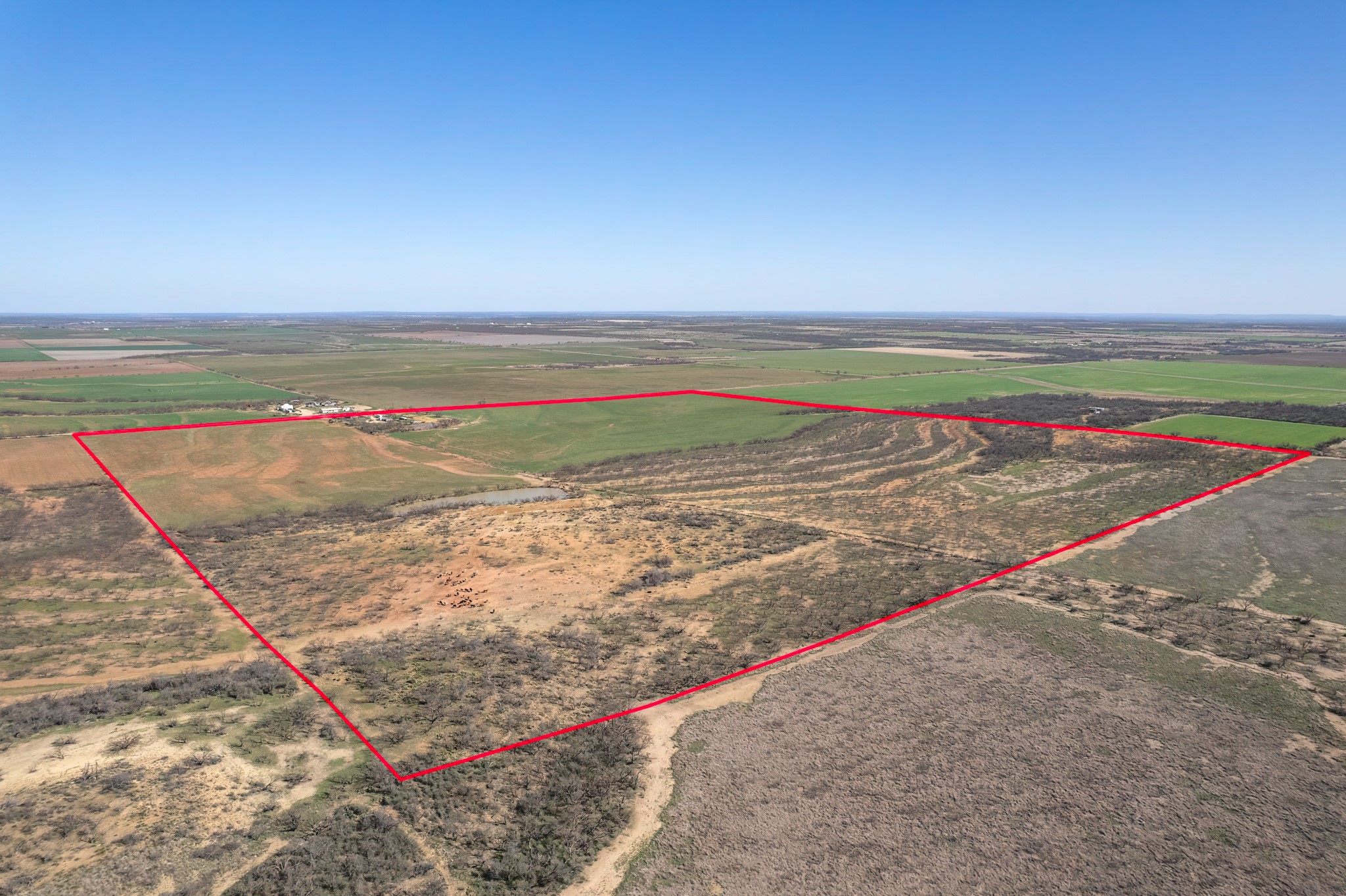 Tbd Cr 300 Coleman TX 76834