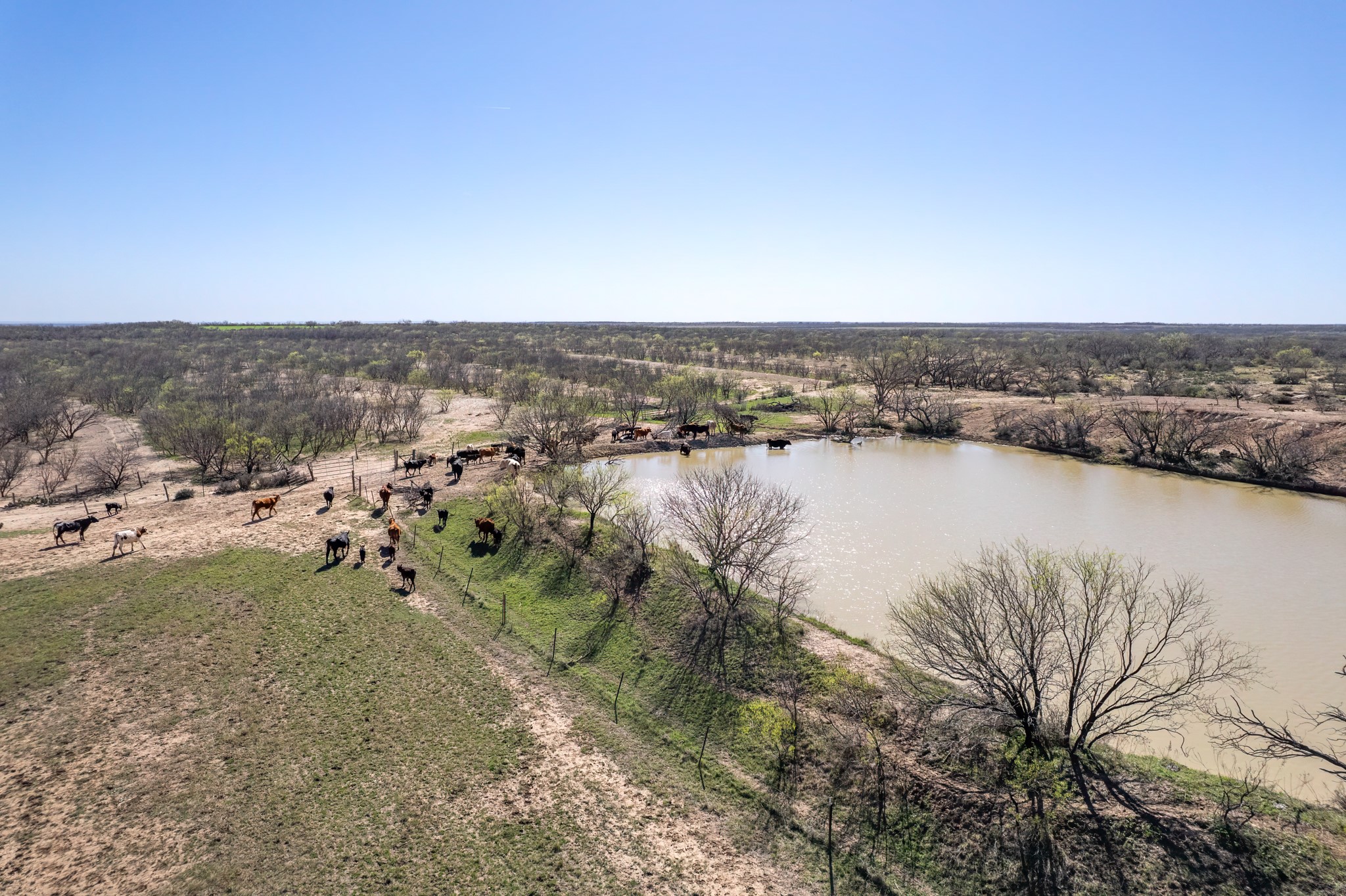 Tbd Cr 300 Coleman TX 76834