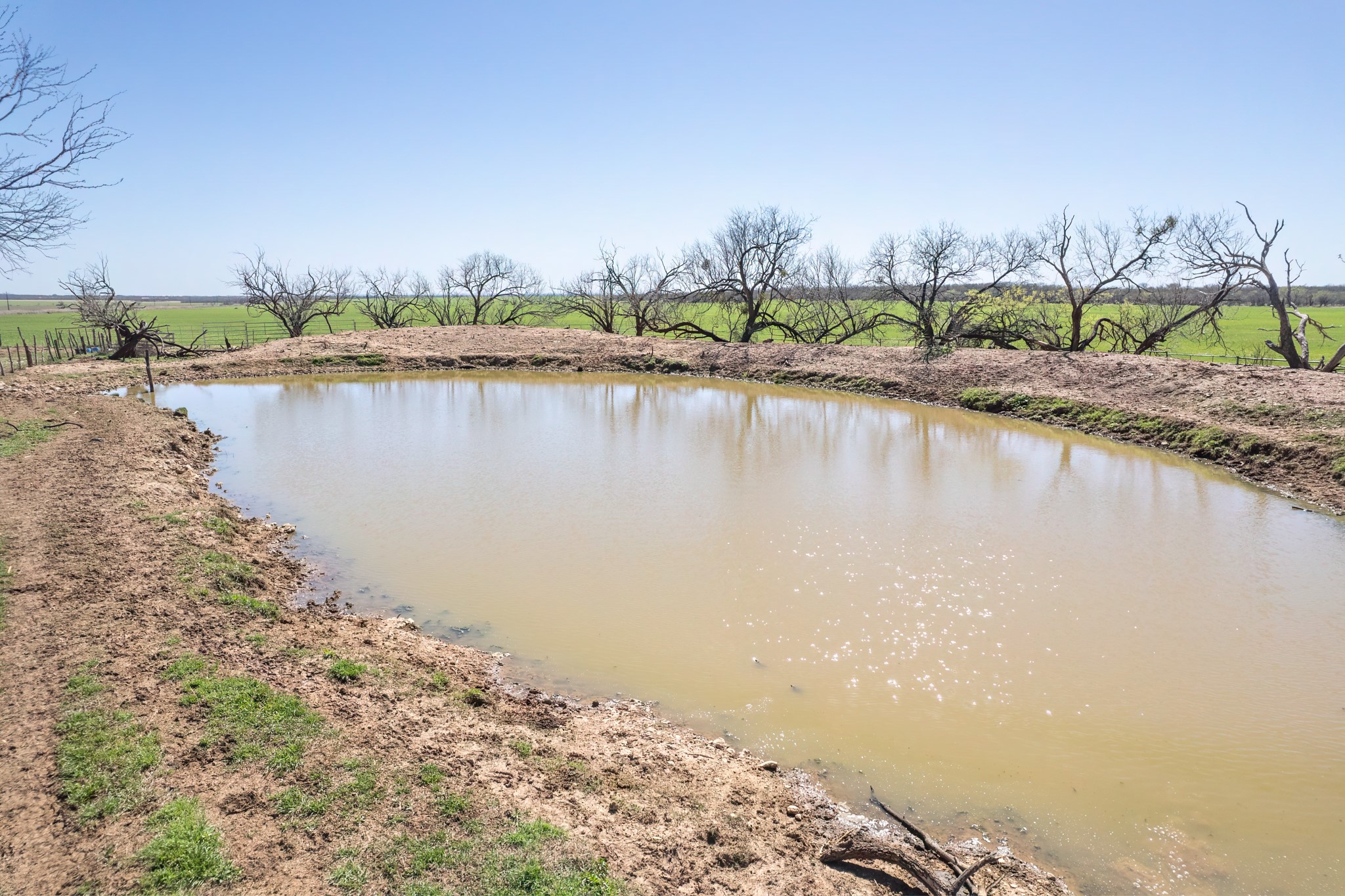 Tbd Cr 300 Coleman TX 76834