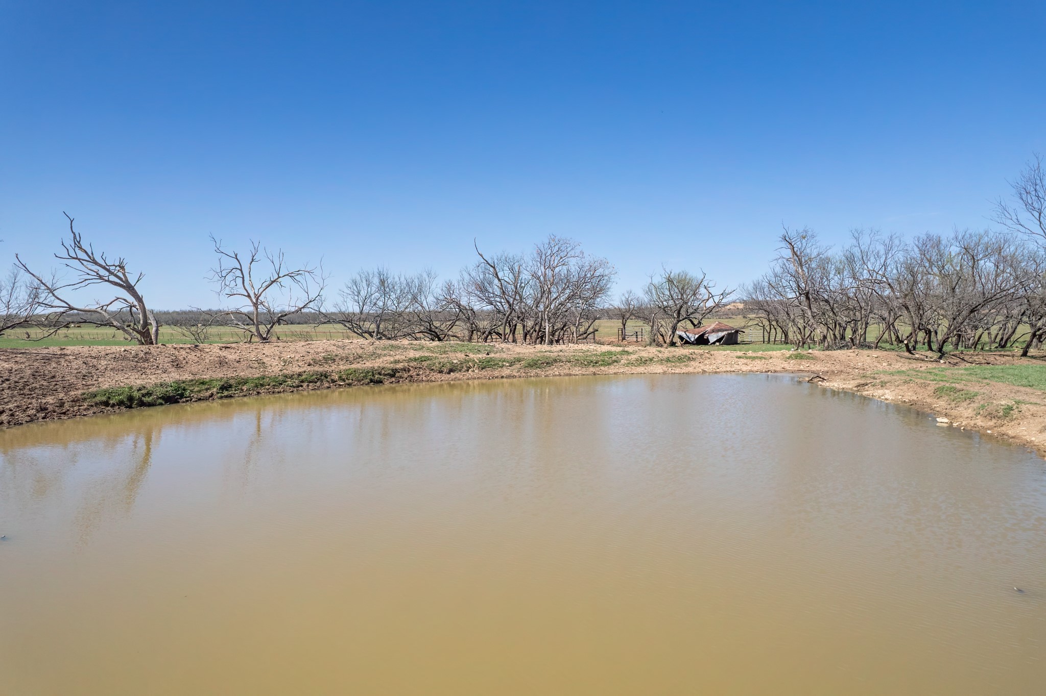 Tbd Cr 300 Coleman TX 76834