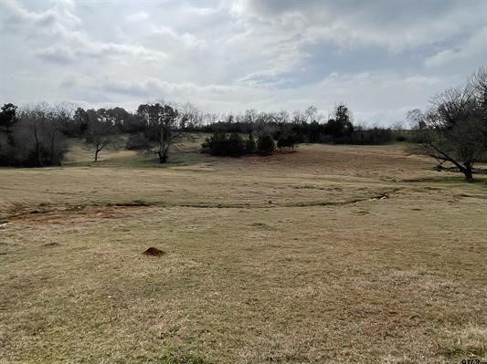 101 Cr 3504 Bullard TX 75757