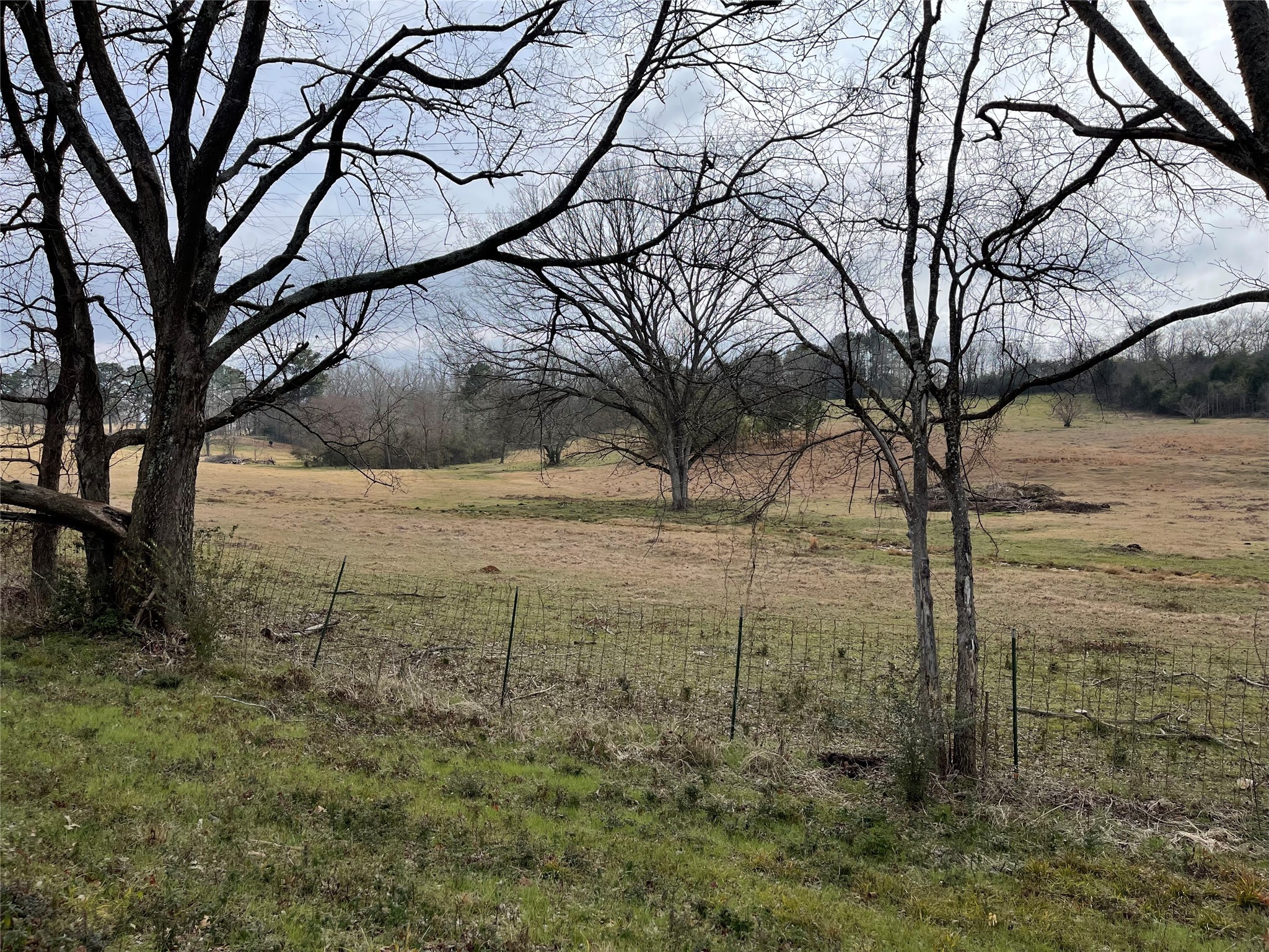 101 Cr 3504 Bullard TX 75757