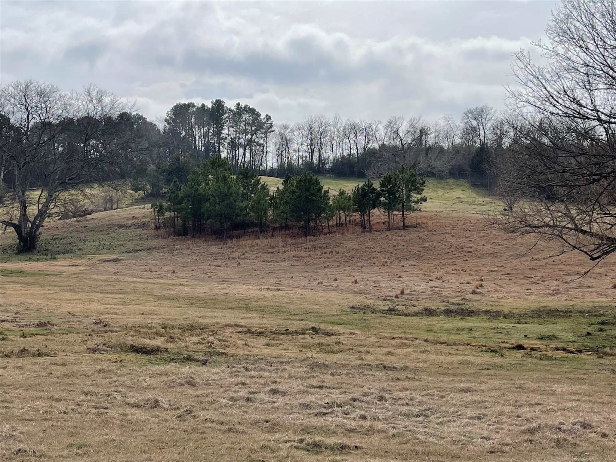 101 Cr 3504 Bullard TX 75757