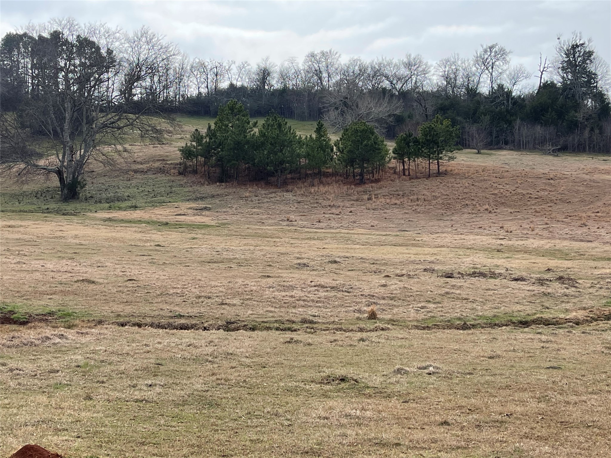 101 Cr 3504 Bullard TX 75757