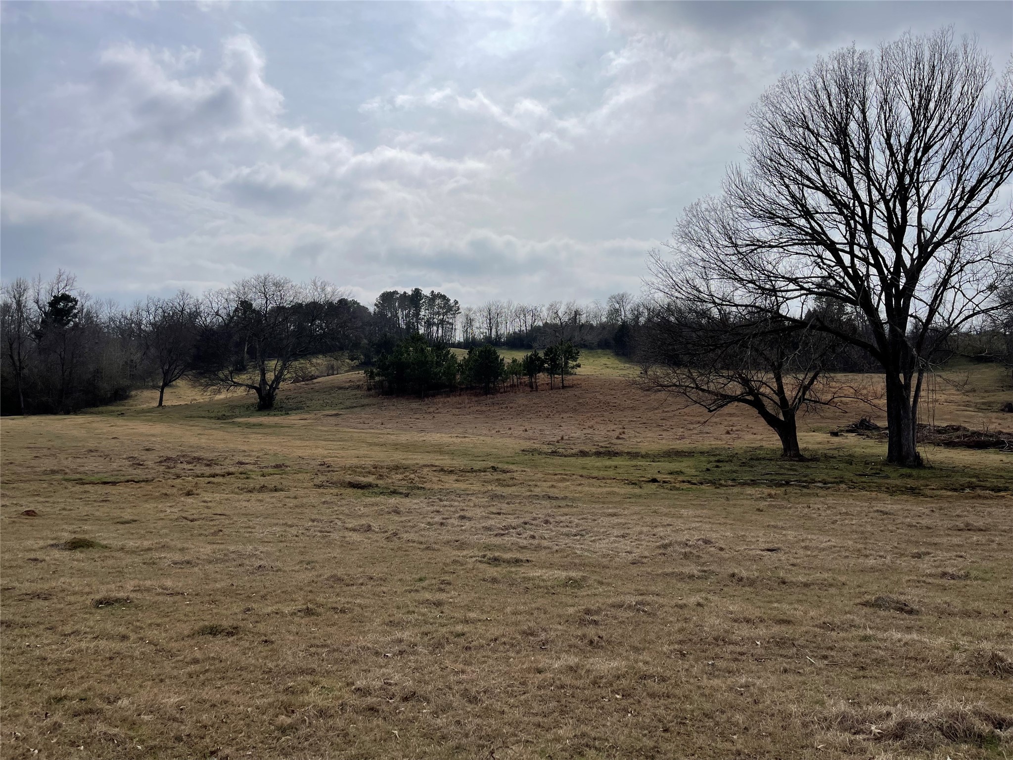 101 Cr 3504 Bullard TX 75757
