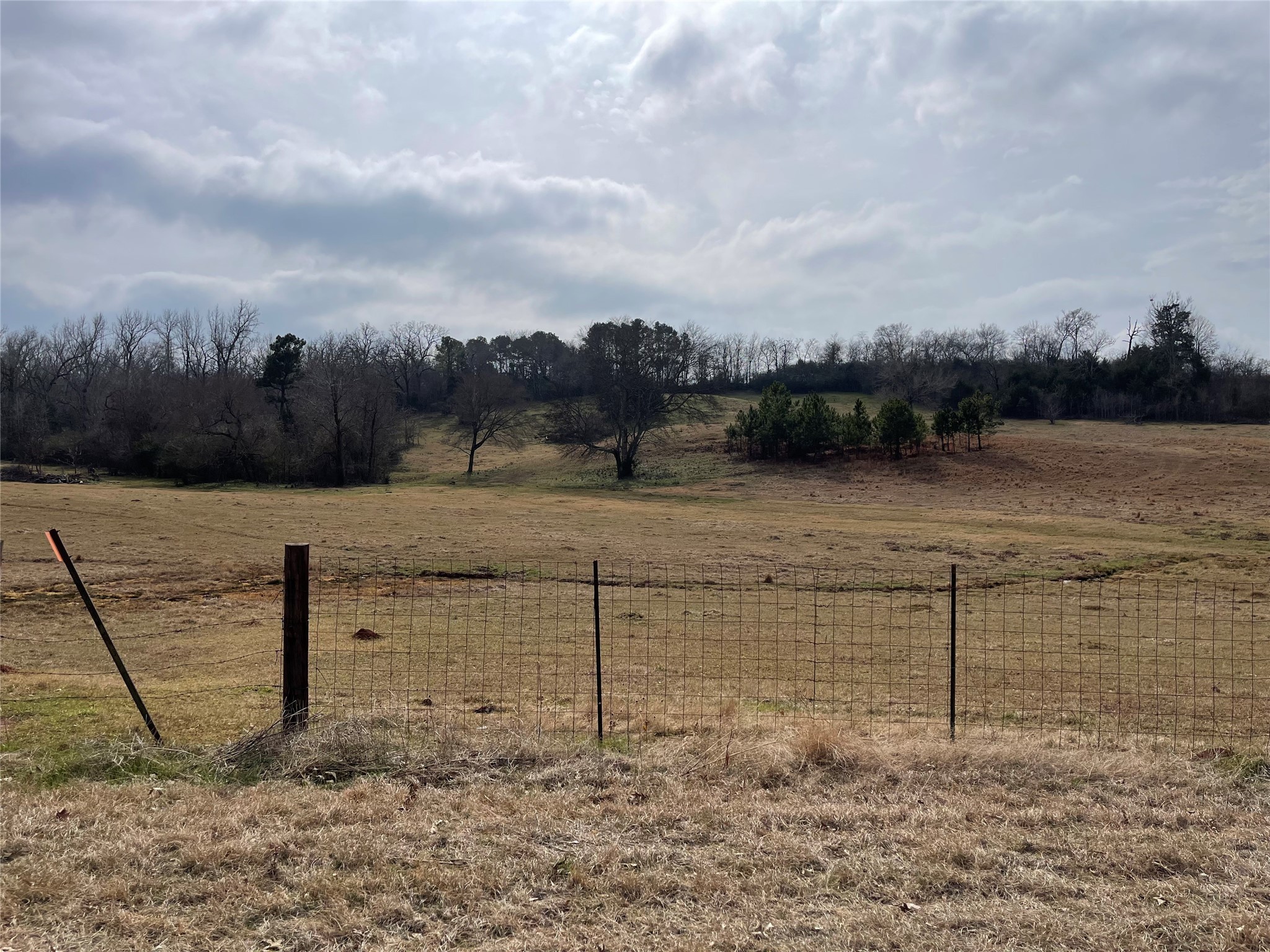 101 Cr 3504 Bullard TX 75757