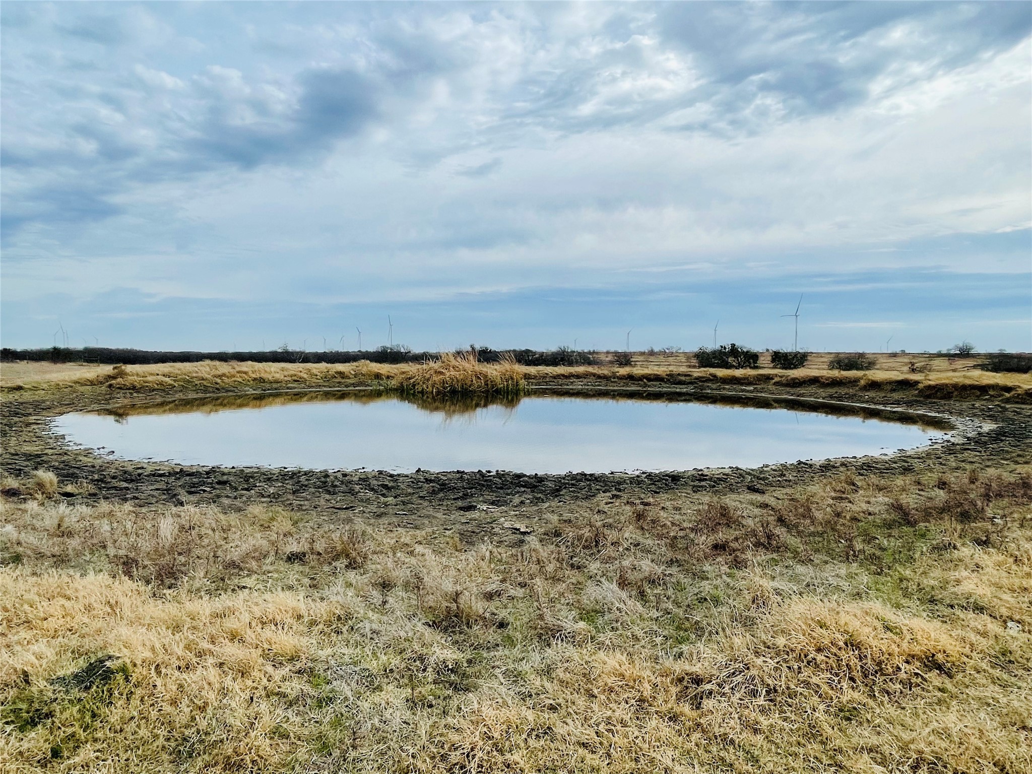 21517 SW County Road 4040 Dawson TX 76639