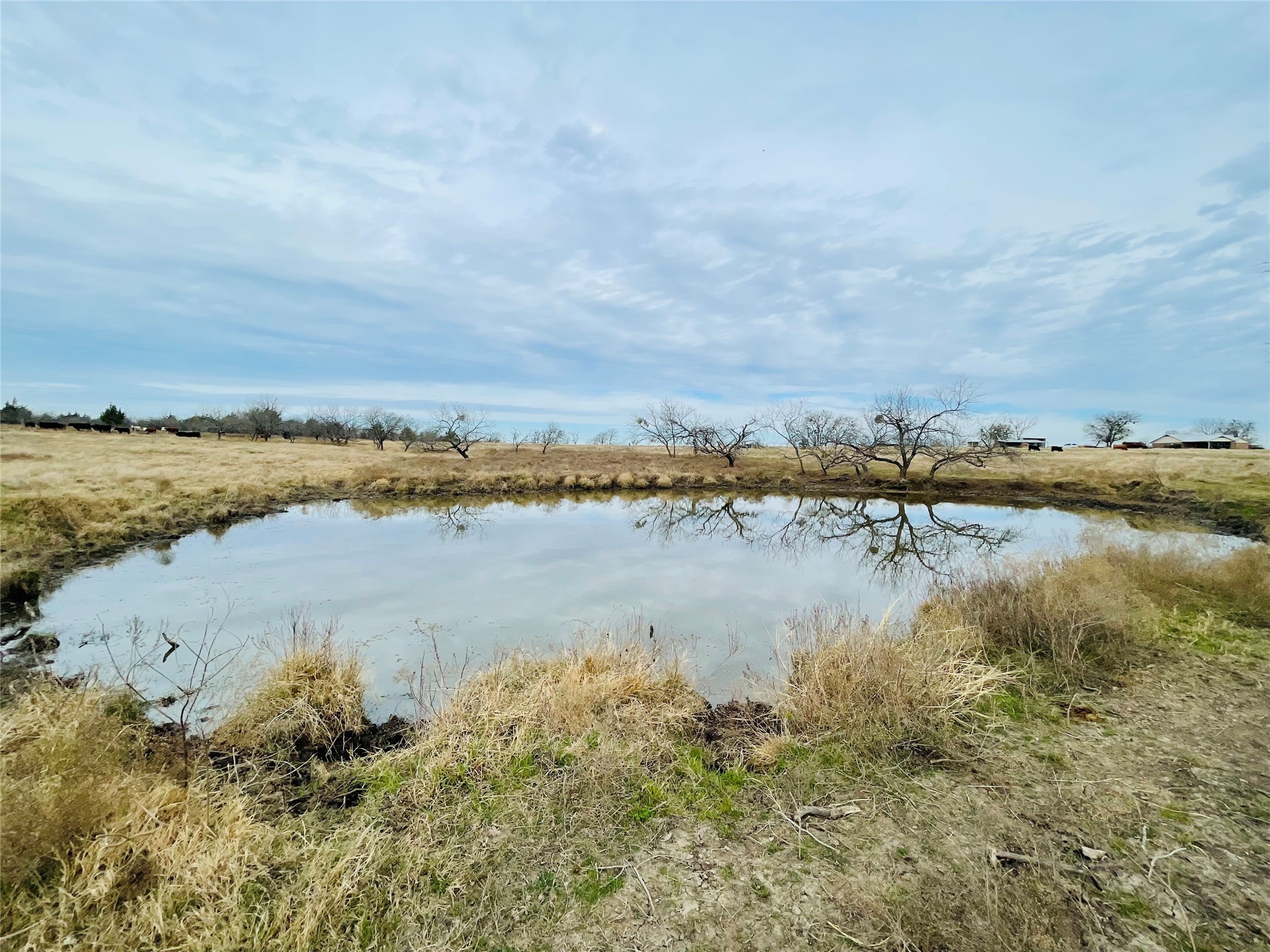 21517 SW County Road 4040 Dawson TX 76639