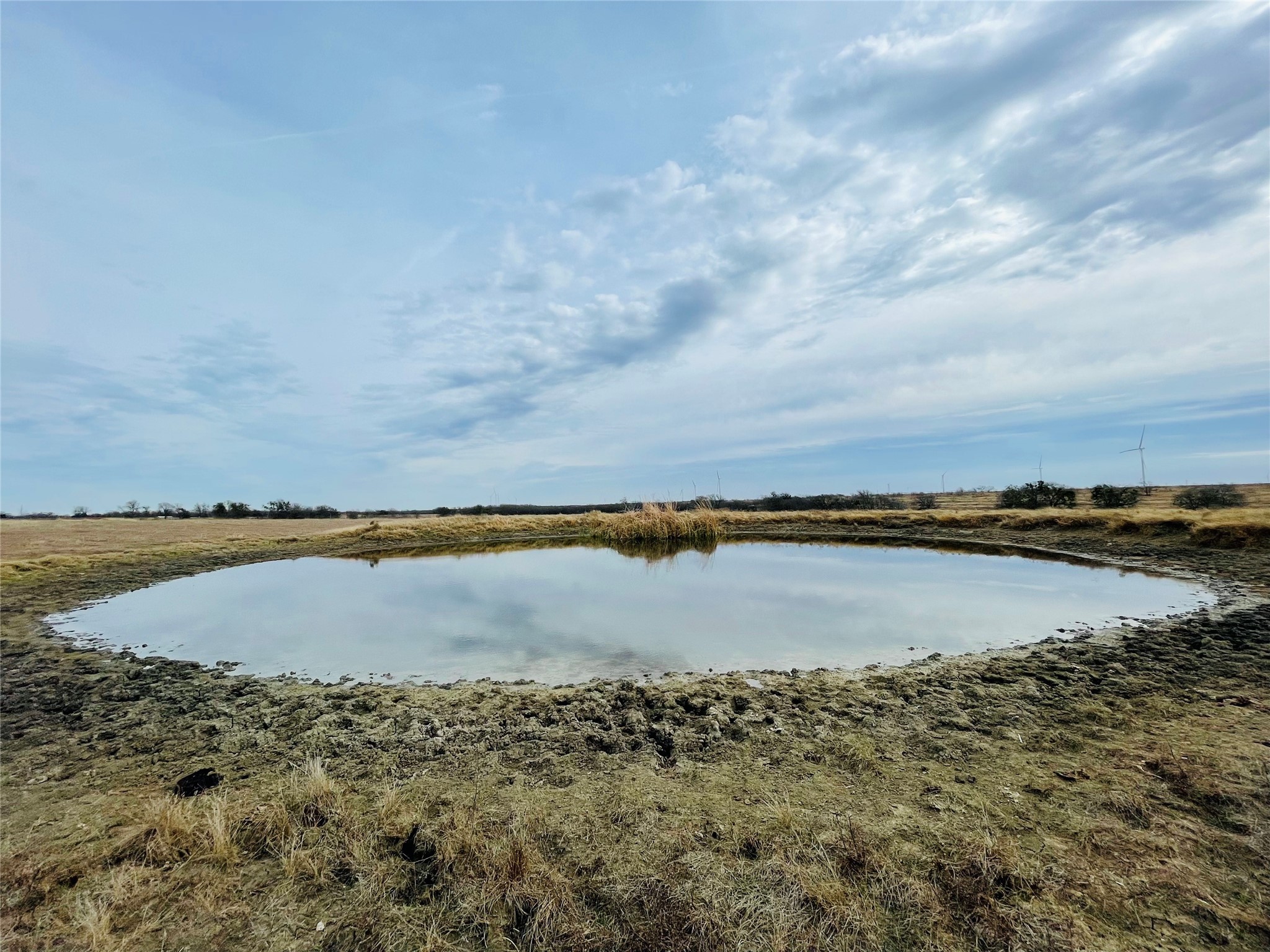 21517 SW County Road 4040 Dawson TX 76639