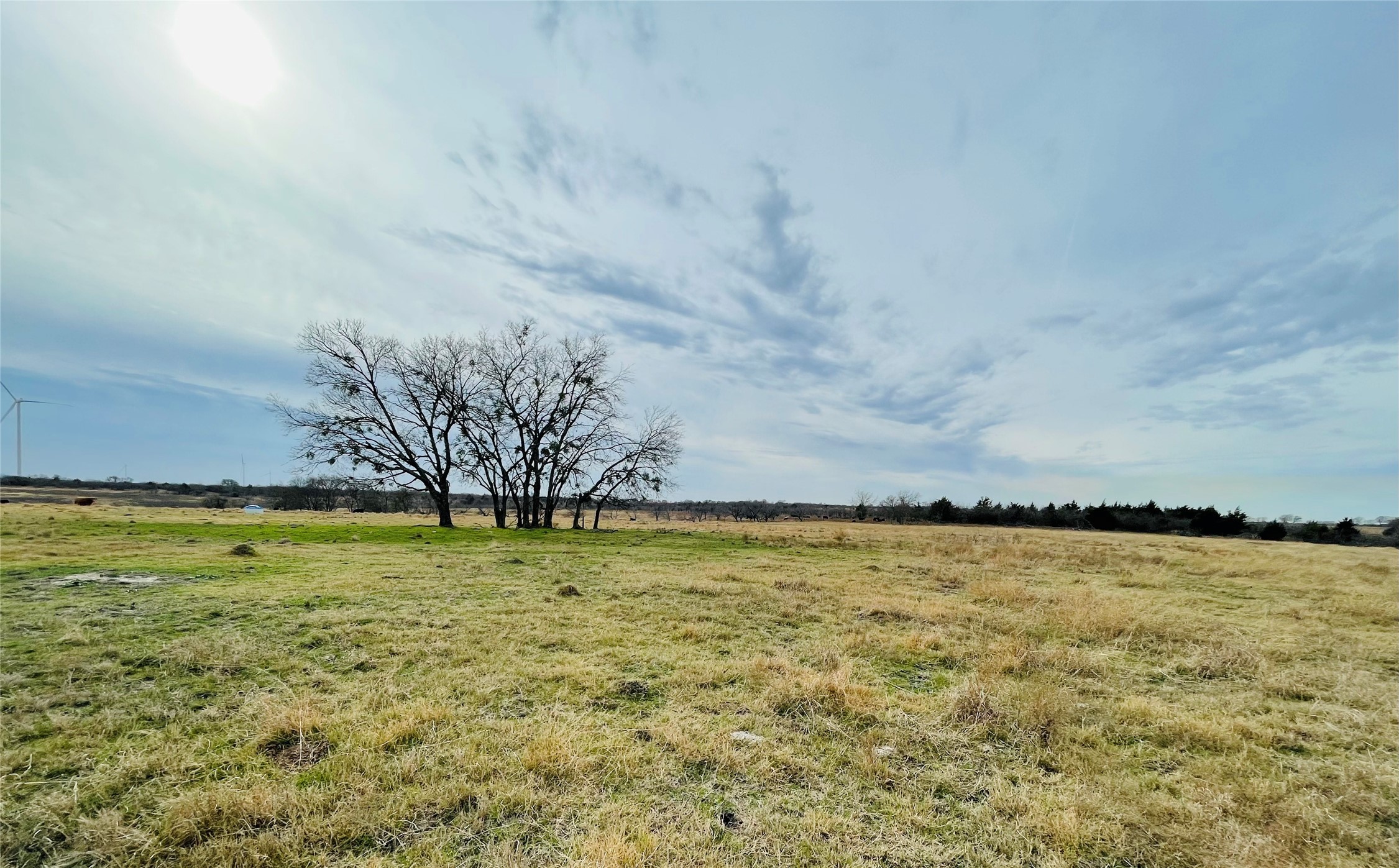 21517 SW County Road 4040 Dawson TX 76639