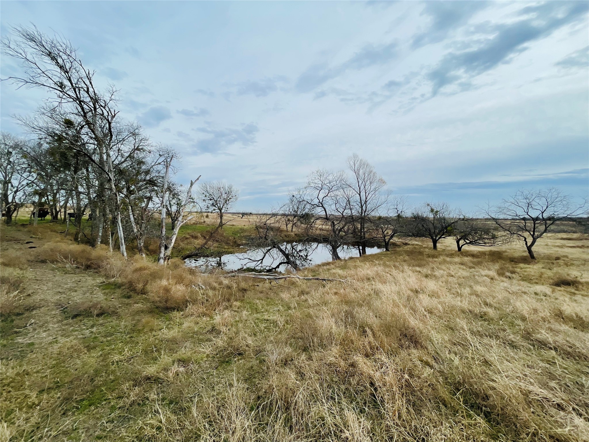 21517 SW County Road 4040 Dawson TX 76639