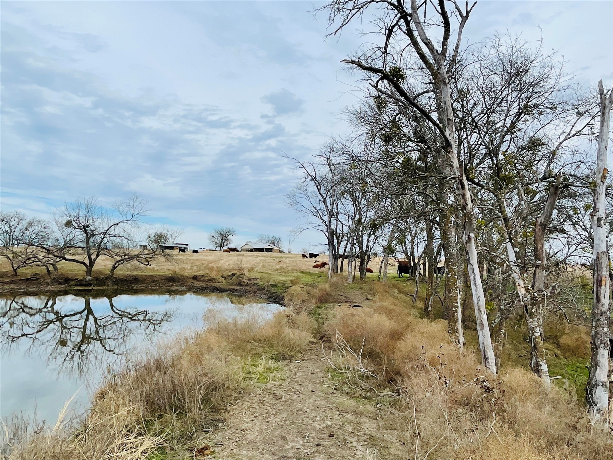 21517 SW County Road 4040 Dawson TX 76639