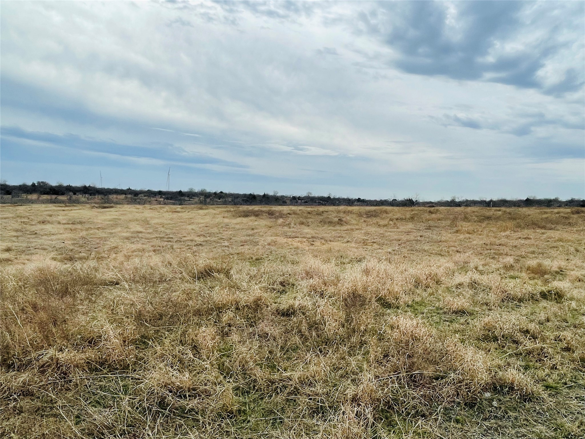 21517 SW County Road 4040 Dawson TX 76639