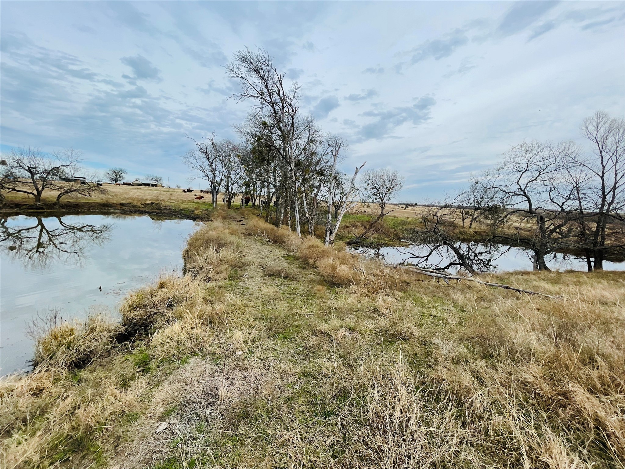21517 SW County Road 4040 Dawson TX 76639