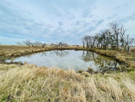 21517 SW County Road 4040 Dawson TX 76639