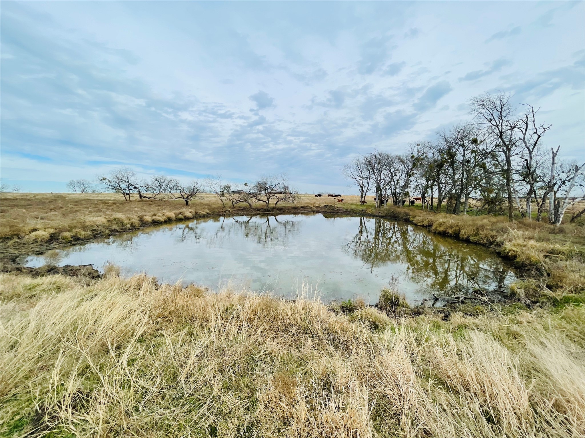 21517 SW County Road 4040 Dawson TX 76639