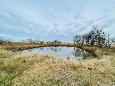 21517 SW County Road 4040 Dawson TX 76639
