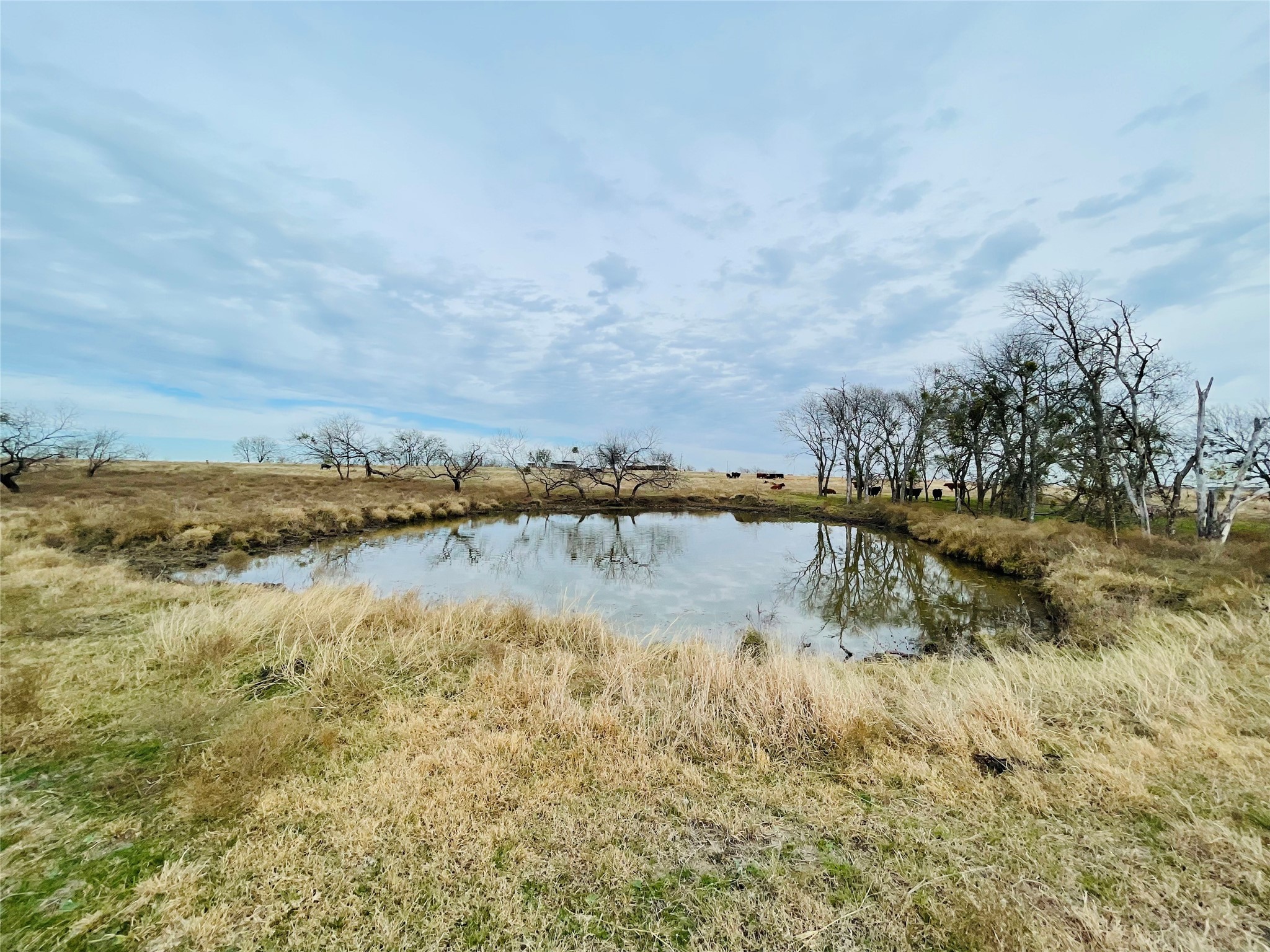 21517 SW County Road 4040 Dawson TX 76639