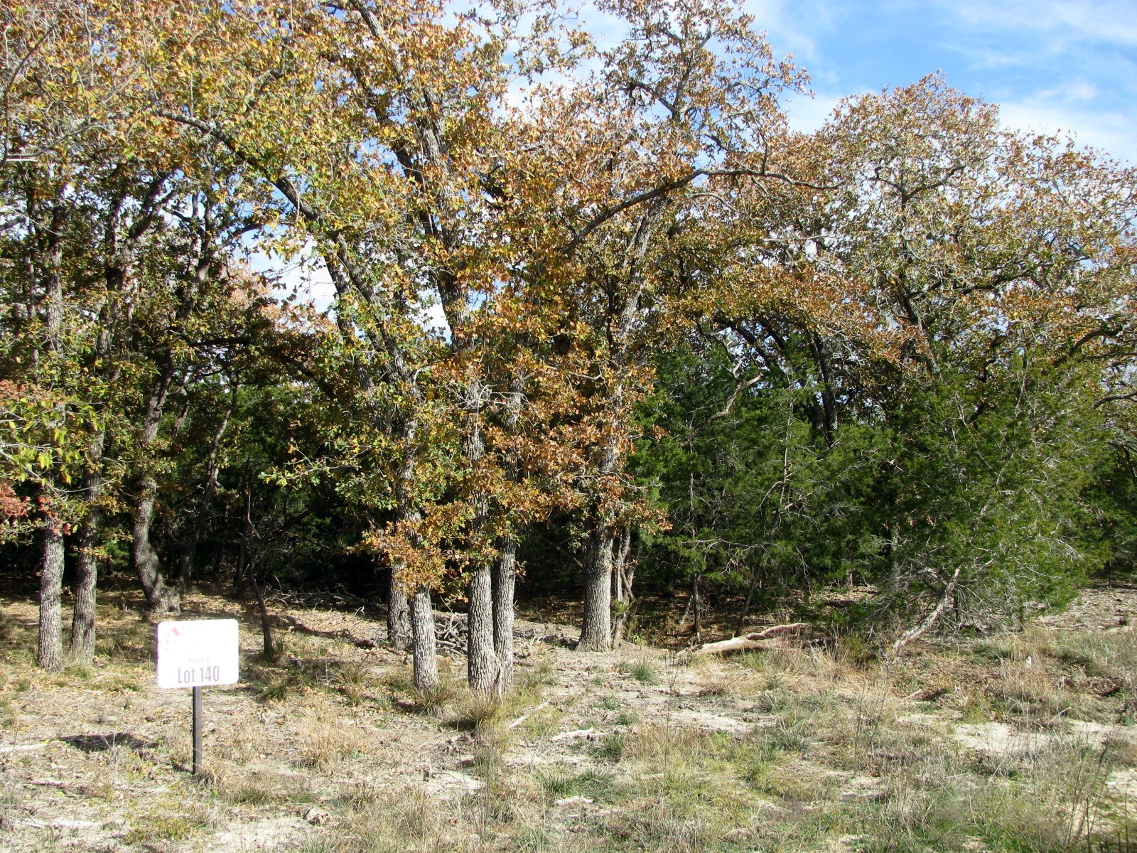 Lot 140 Ph 6 County Road 421 Evant TX 76566