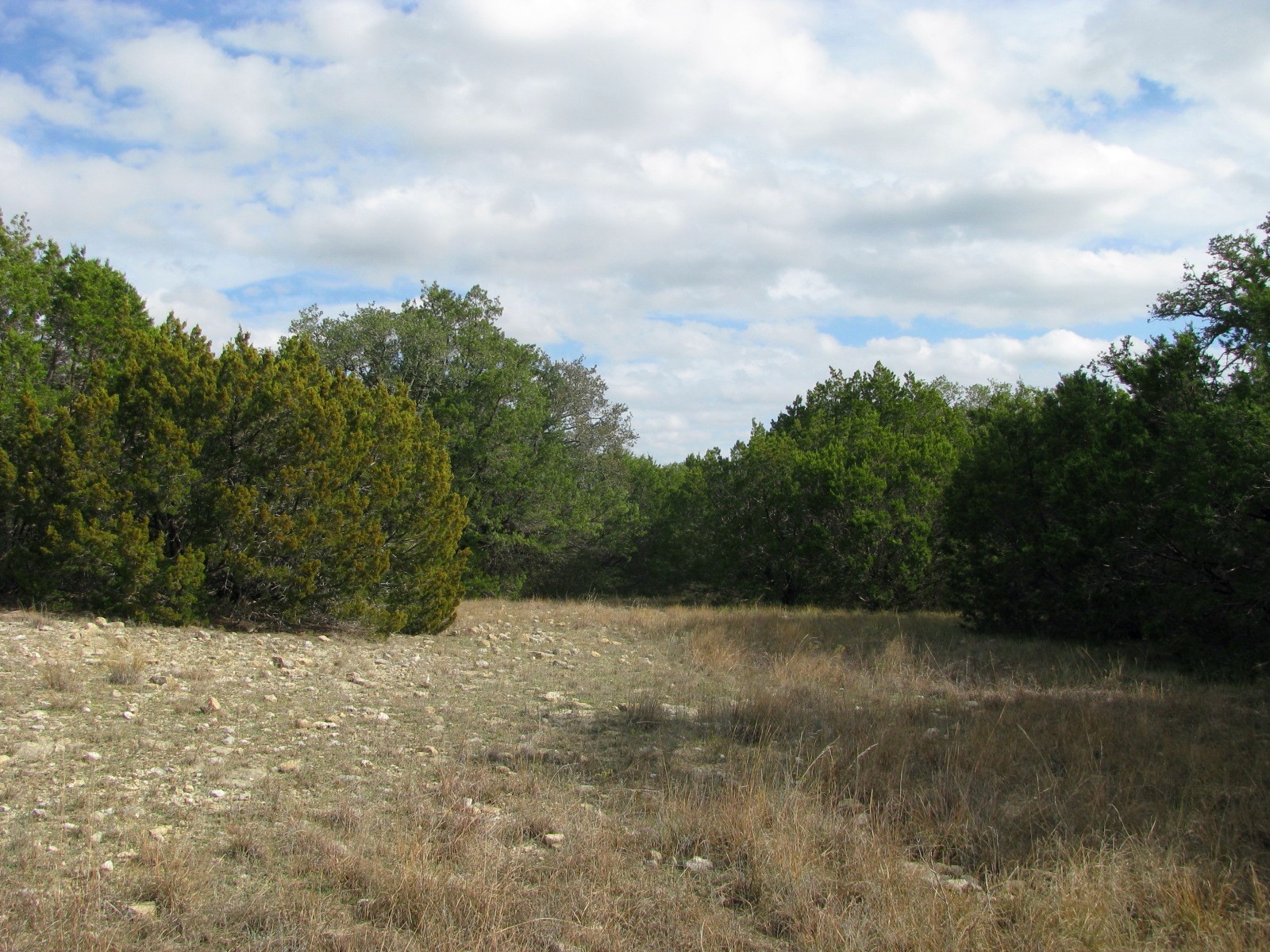 Lot 140 Ph 6 County Road 421 Evant TX 76566