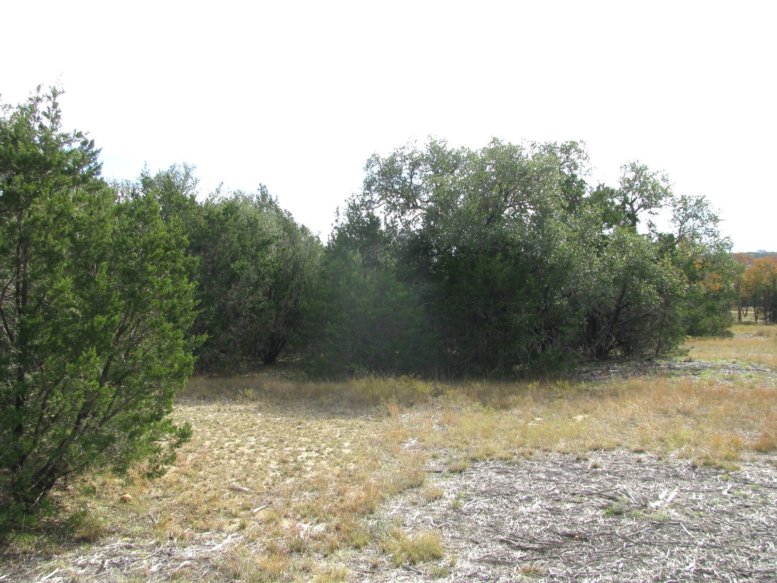 Lot 140 Ph 6 County Road 421 Evant TX 76566