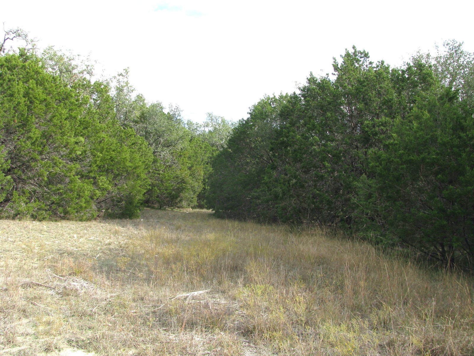 Lot 140 Ph 6 County Road 421 Evant TX 76566