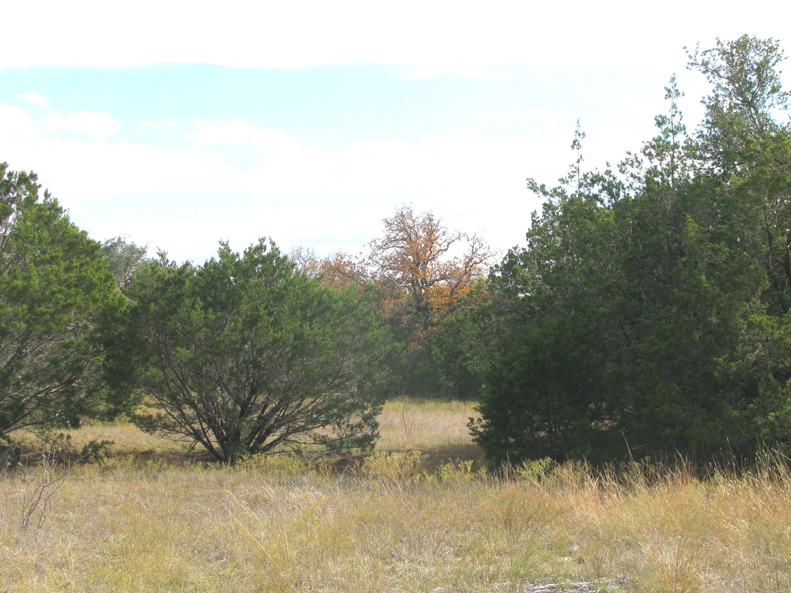 Lot 140 Ph 6 County Road 421 Evant TX 76566