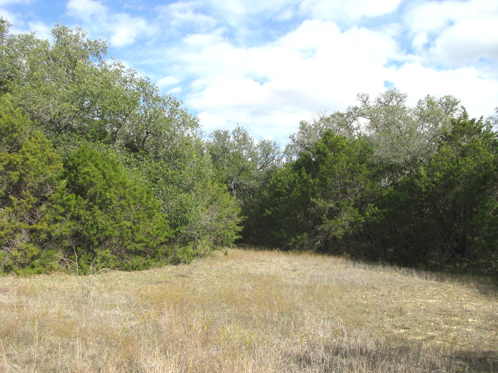 Lot 140 Ph 6 County Road 421 Evant TX 76566