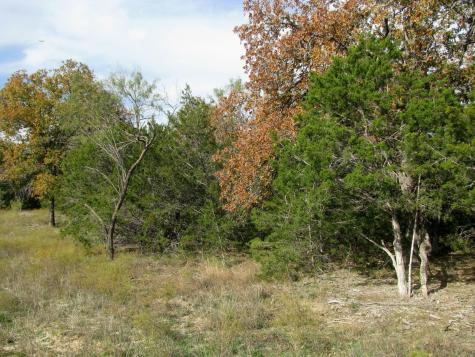 Lot 140 Ph 6 County Road 421 Evant TX 76566