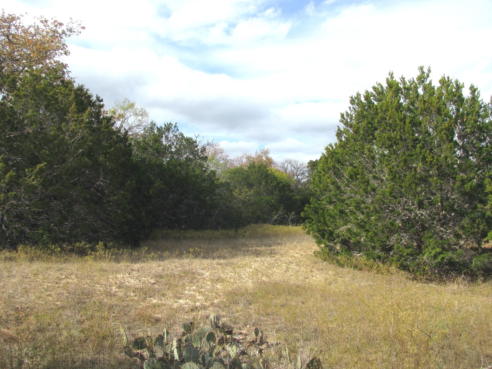Lot 140 Ph 6 County Road 421 Evant TX 76566