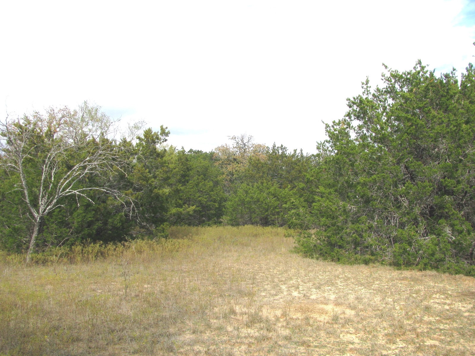 Lot 140 Ph 6 County Road 421 Evant TX 76566