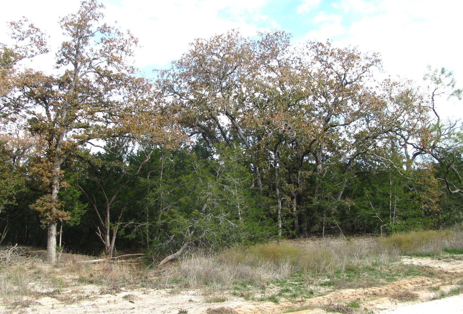 Lot 140 Ph 6 County Road 421 Evant TX 76566