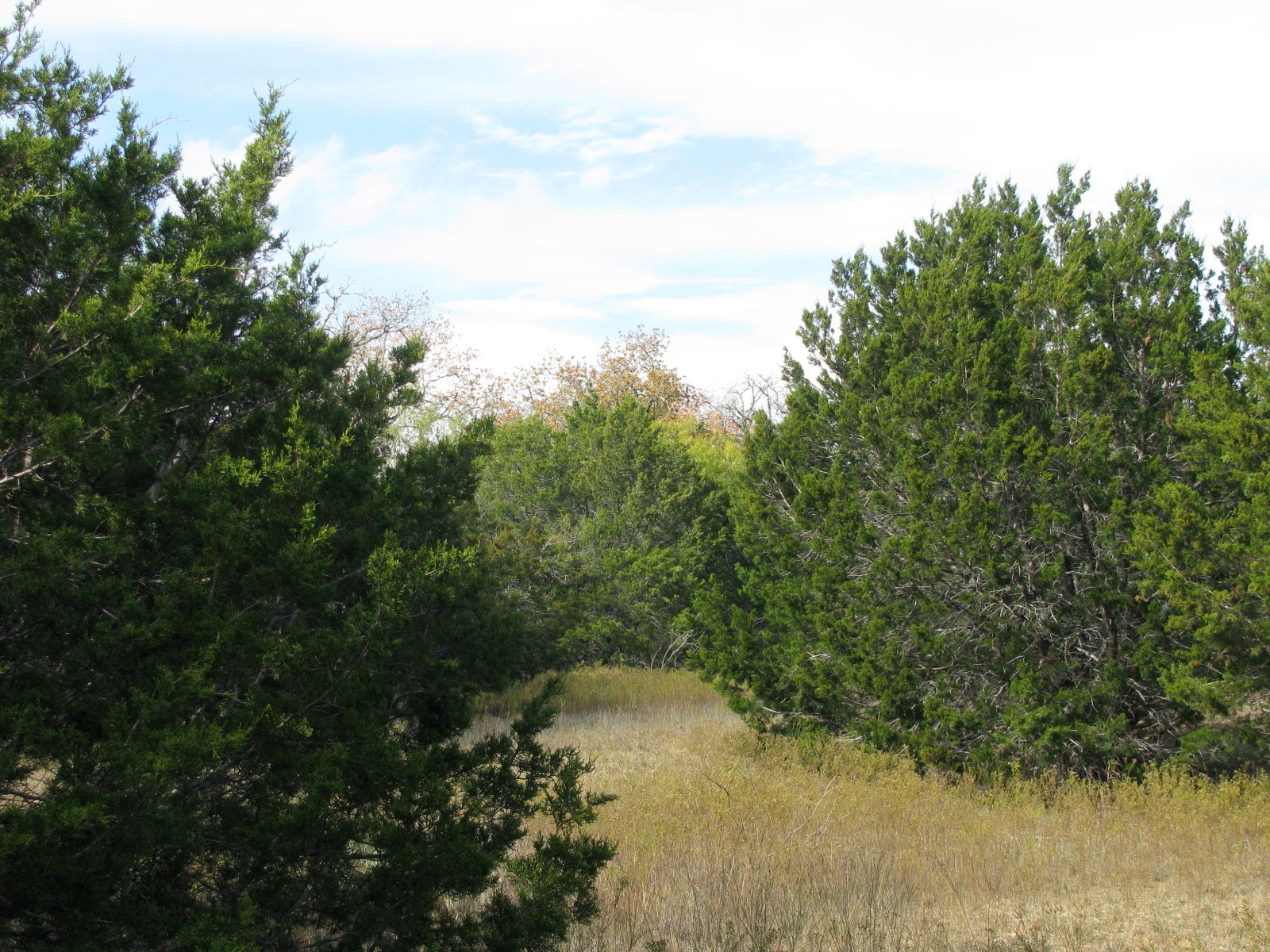 Lot 140 Ph 6 County Road 421 Evant TX 76566