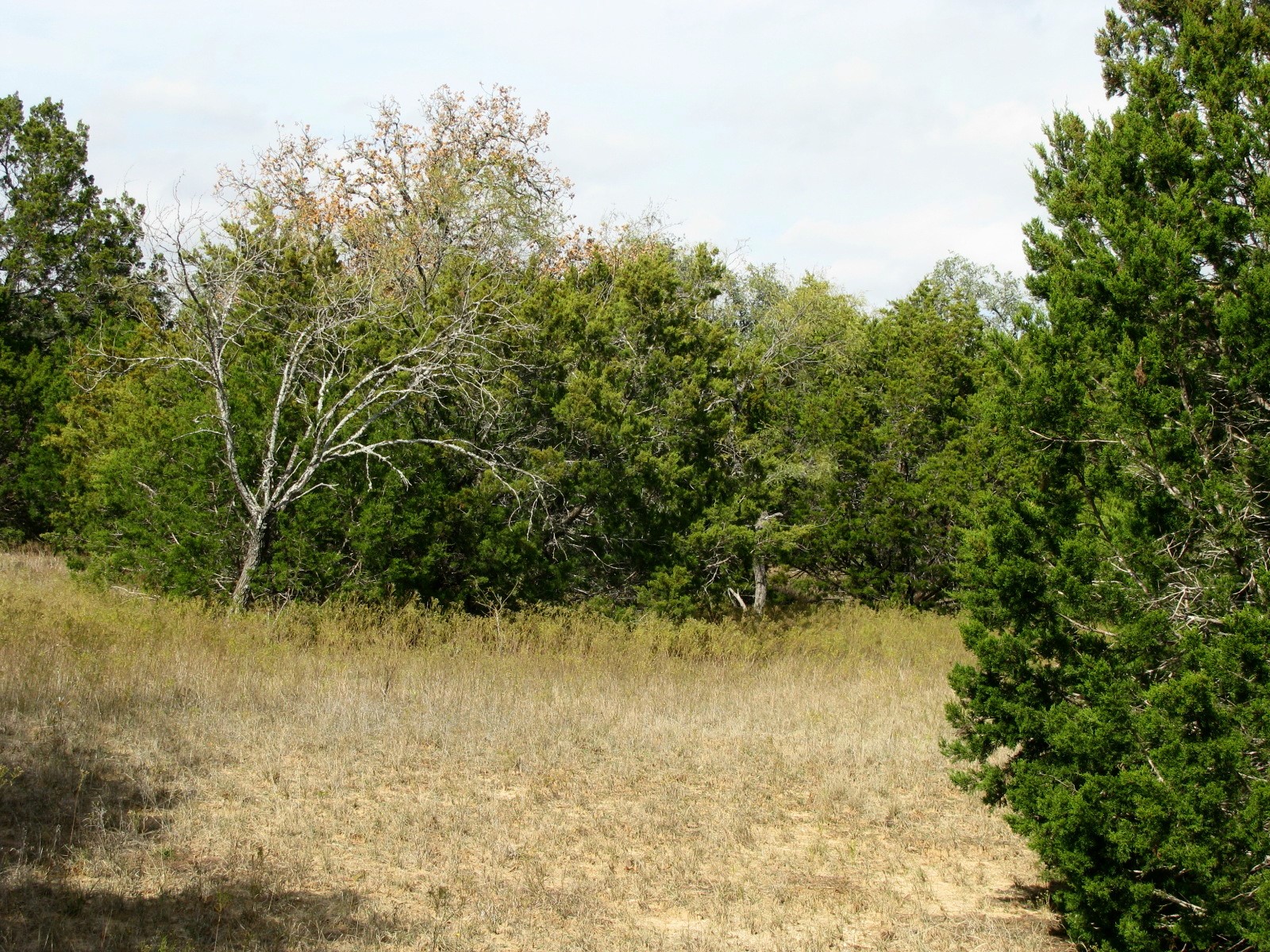 Lot 140 Ph 6 County Road 421 Evant TX 76566