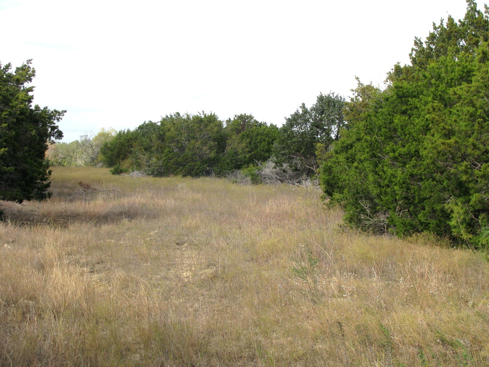 Lot 140 Ph 6 County Road 421 Evant TX 76566