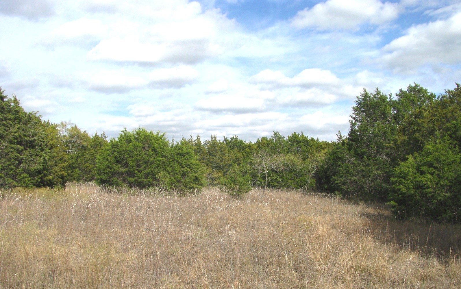 Lot 140 Ph 6 County Road 421 Evant TX 76566