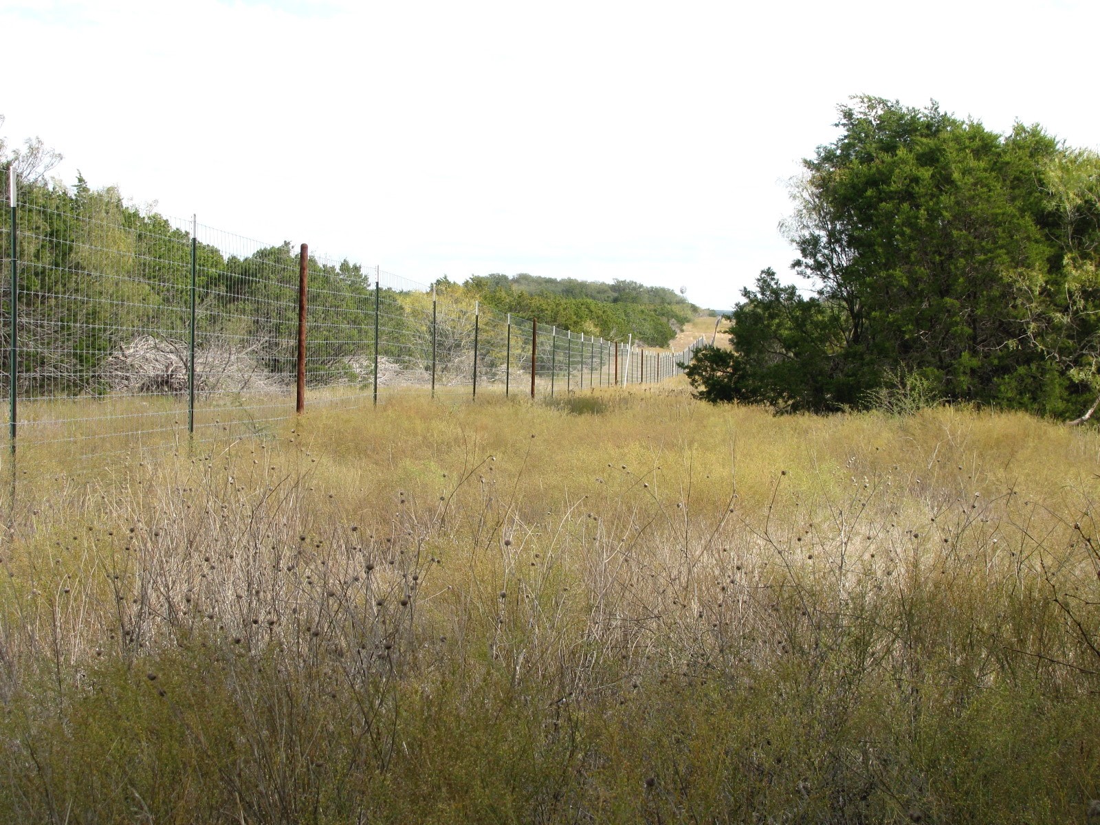 Lot 140 Ph 6 County Road 421 Evant TX 76566