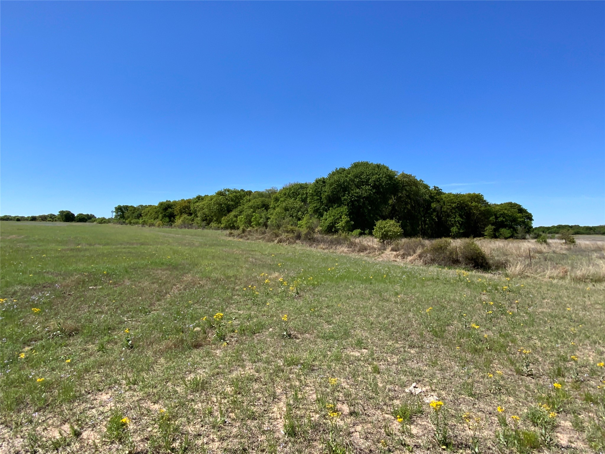 Tbd Highway 2247 Highway Comanche TX 76442