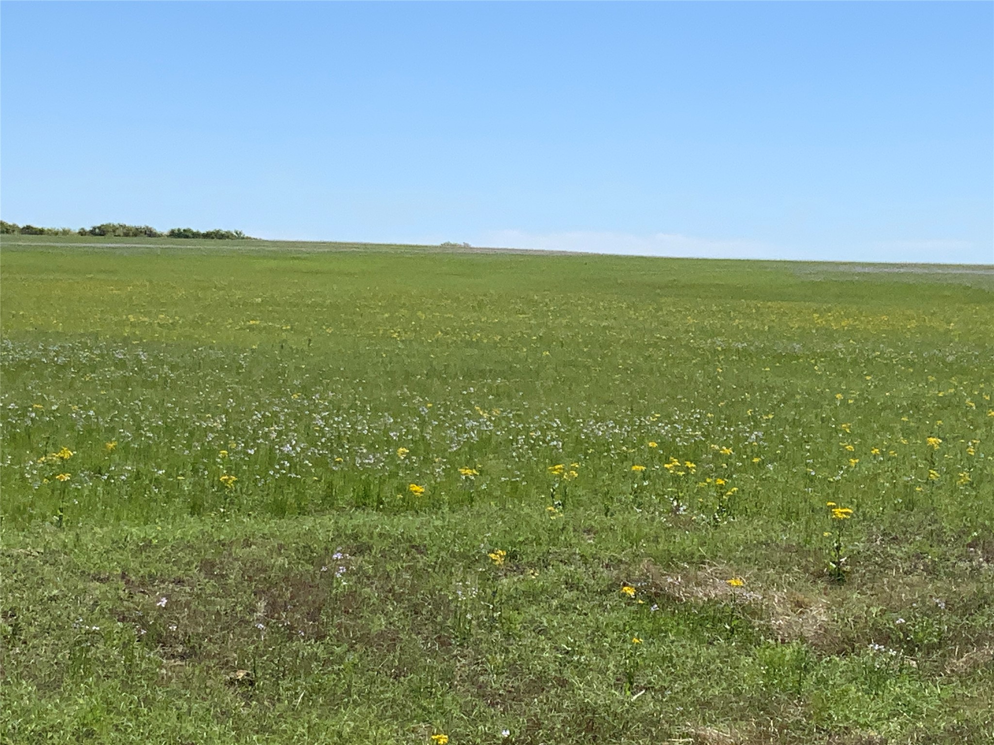 Tbd Highway 2247 Highway Comanche TX 76442
