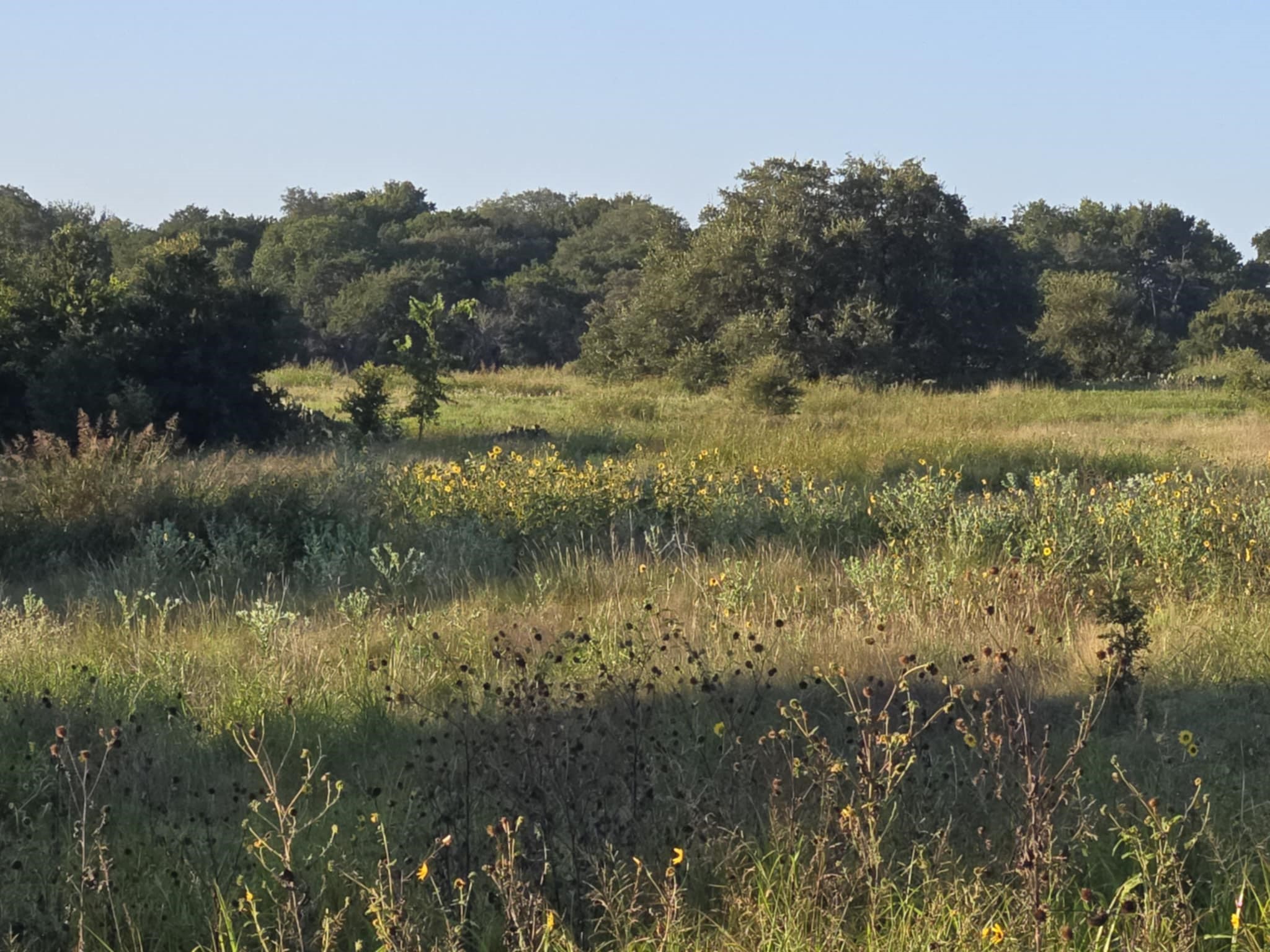 165 Guadalupe Drive Oglesby TX 76561