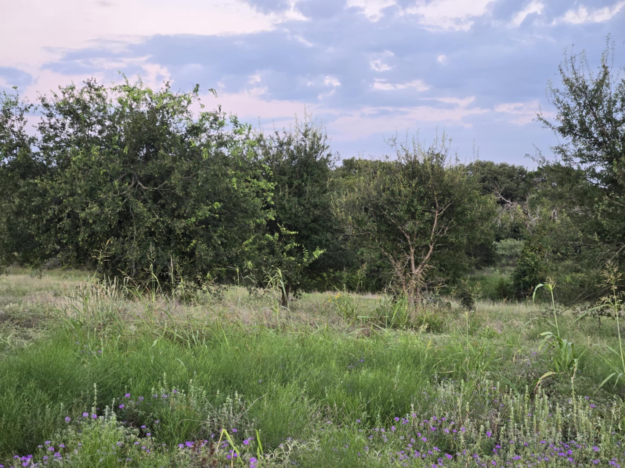 165 Guadalupe Drive Oglesby TX 76561
