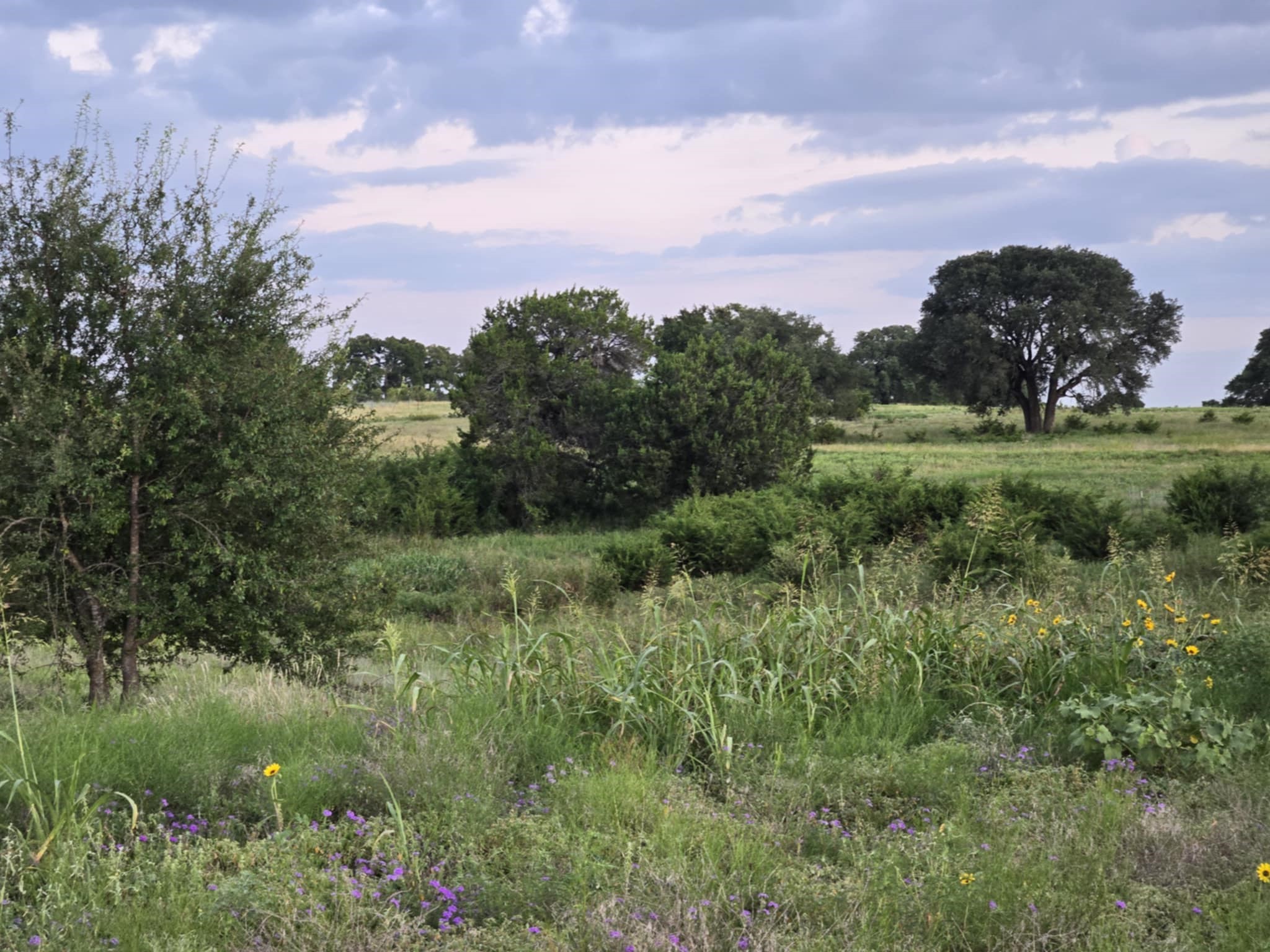 165 Guadalupe Drive Oglesby TX 76561